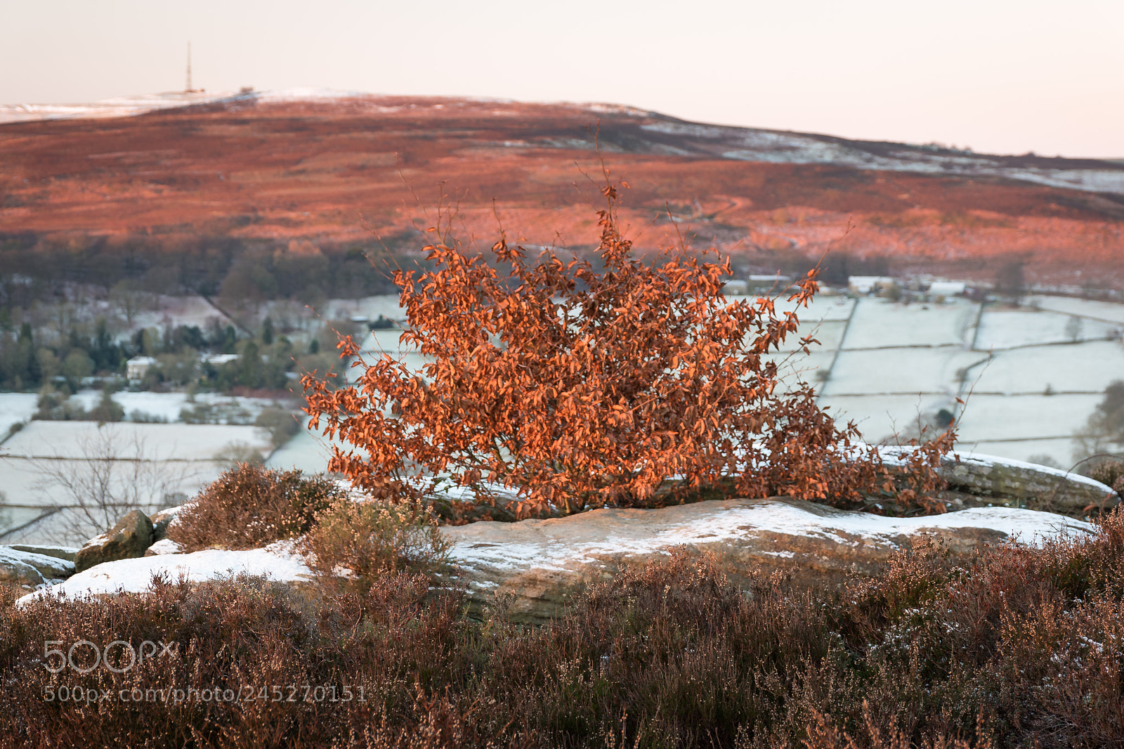Nikon D5500 sample photo. Morning light photography