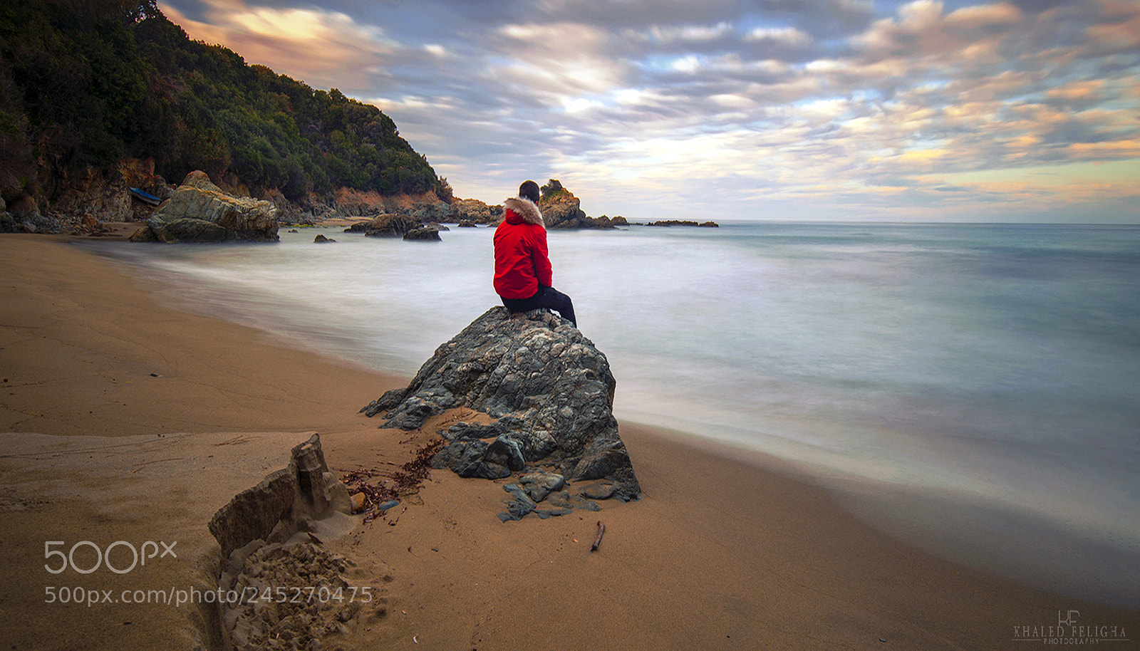 Nikon D610 sample photo. Red photography