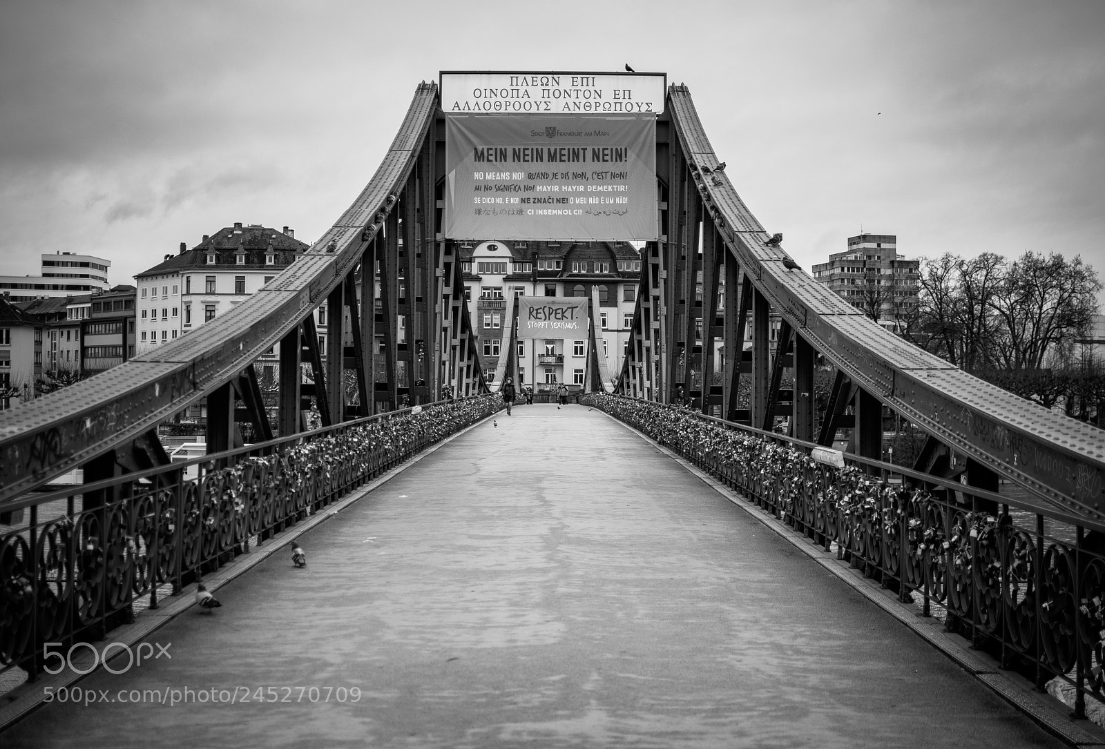 Nikon D500 sample photo. Eiserner steg frankfurt photography