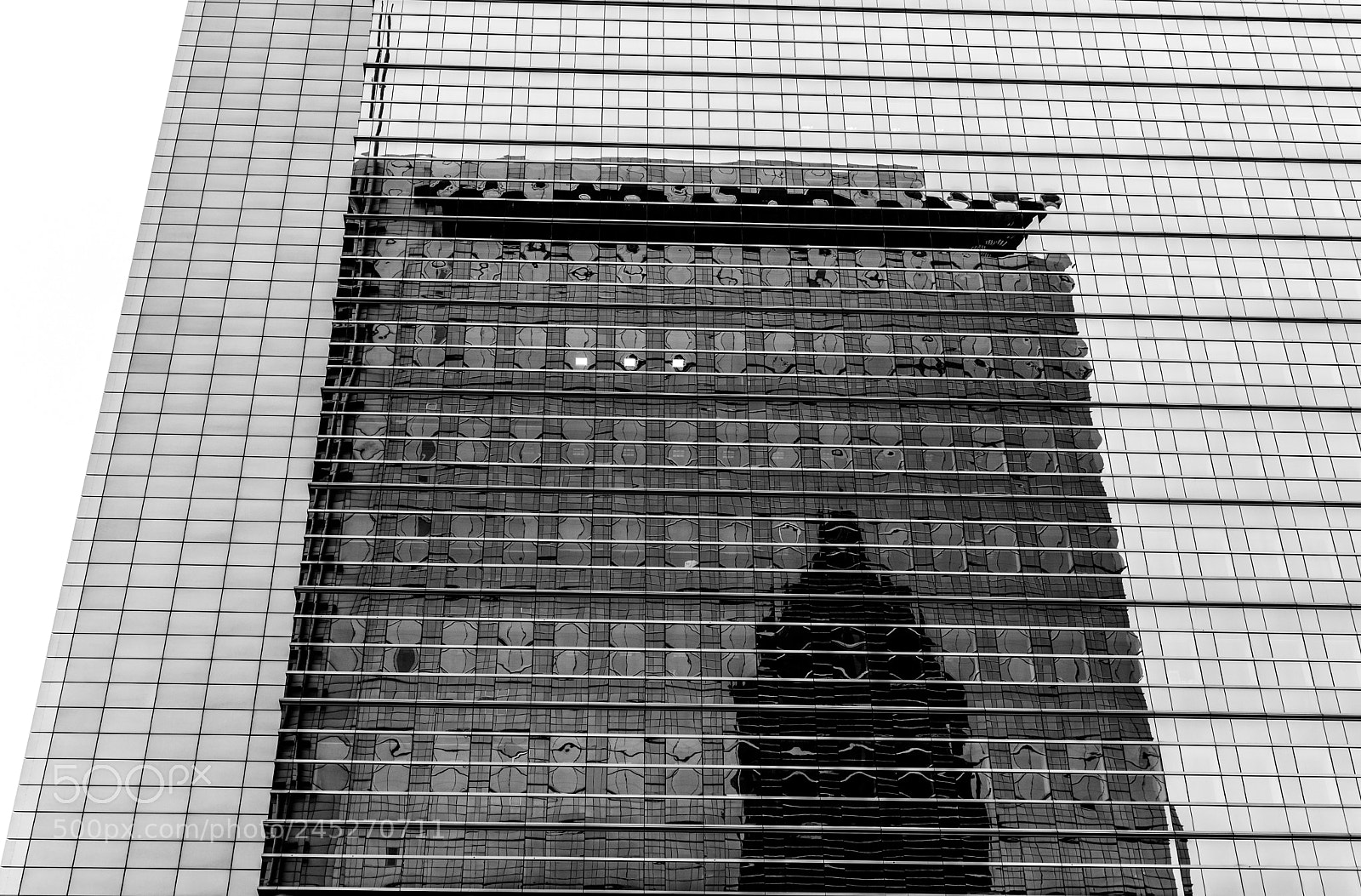 Nikon D500 sample photo. Doppelte reflexion photography