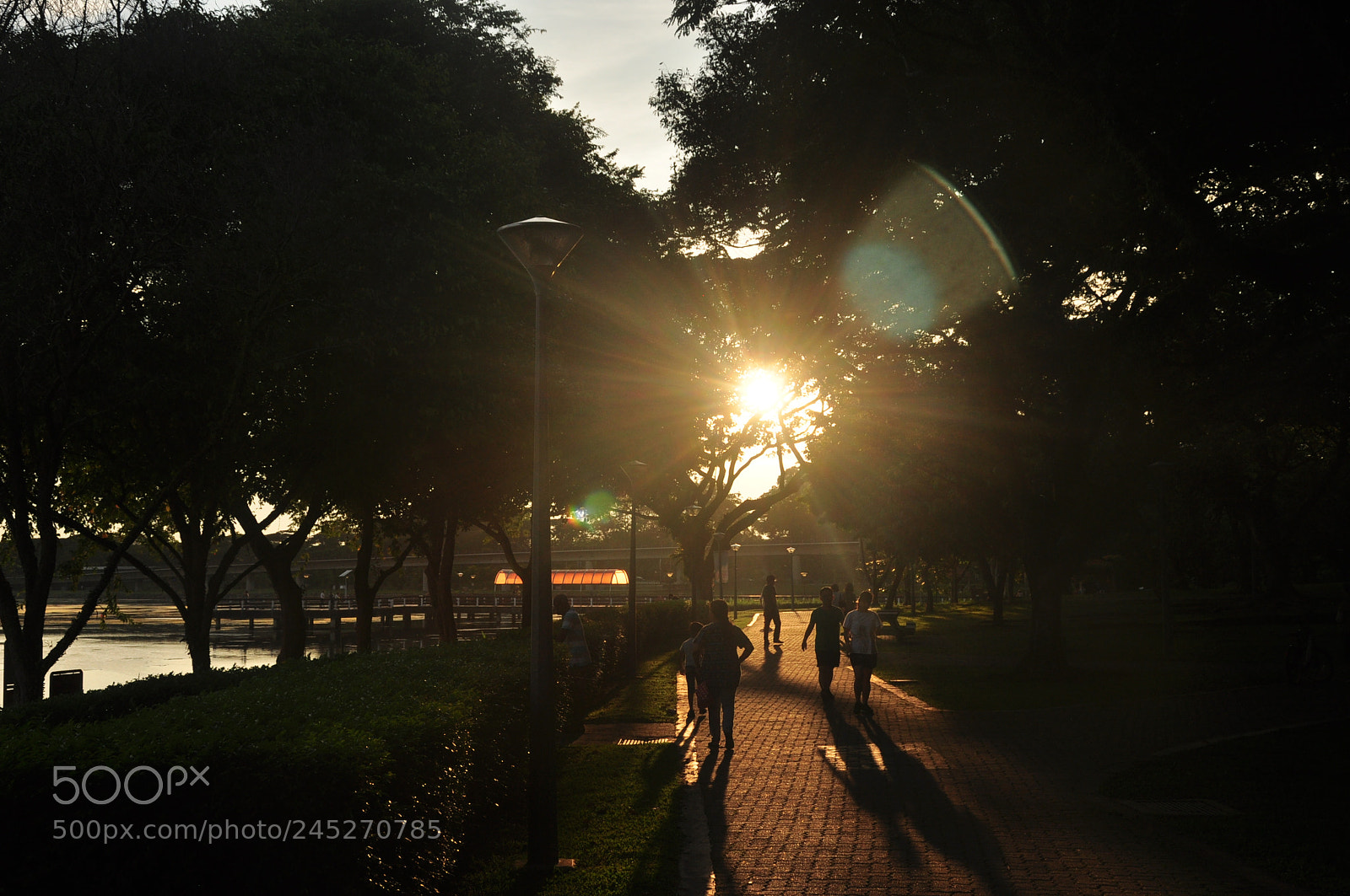 Nikon D90 sample photo. Lower seletar photography