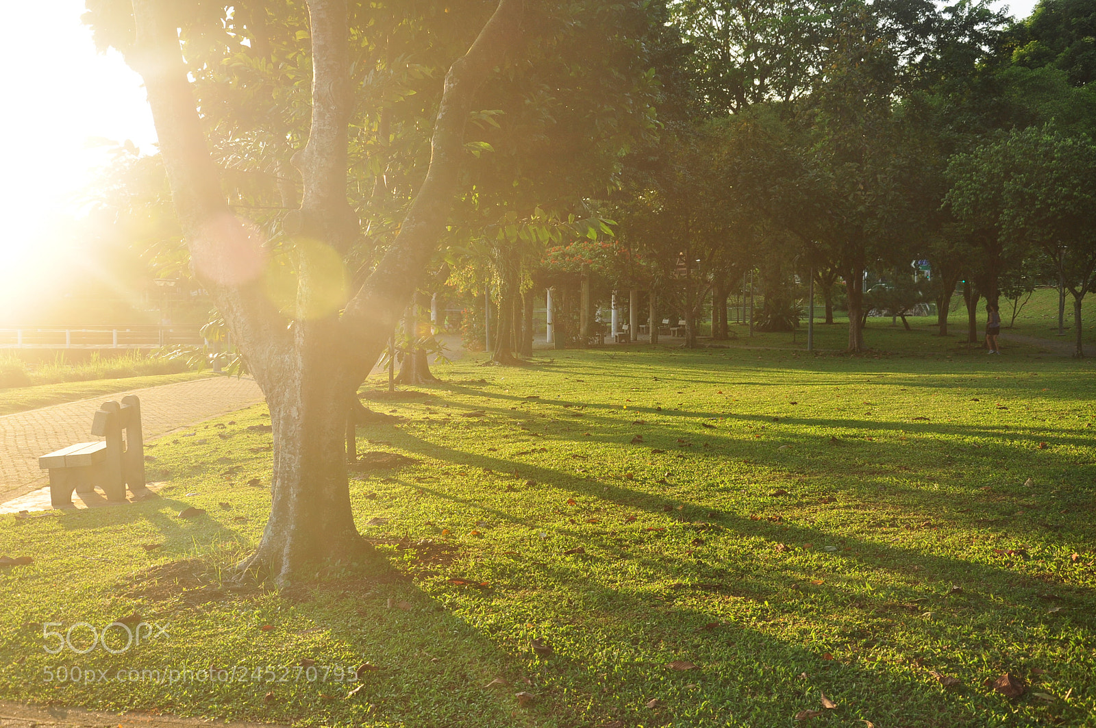 Nikon D90 sample photo. Evening lights photography