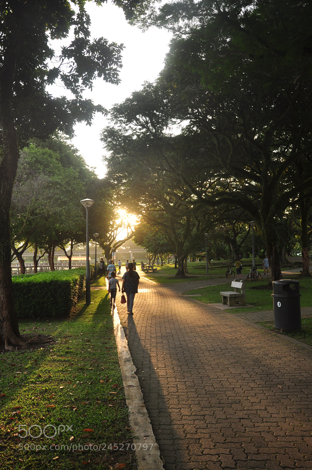 Nikon D90 sample photo. Walking thorough photography