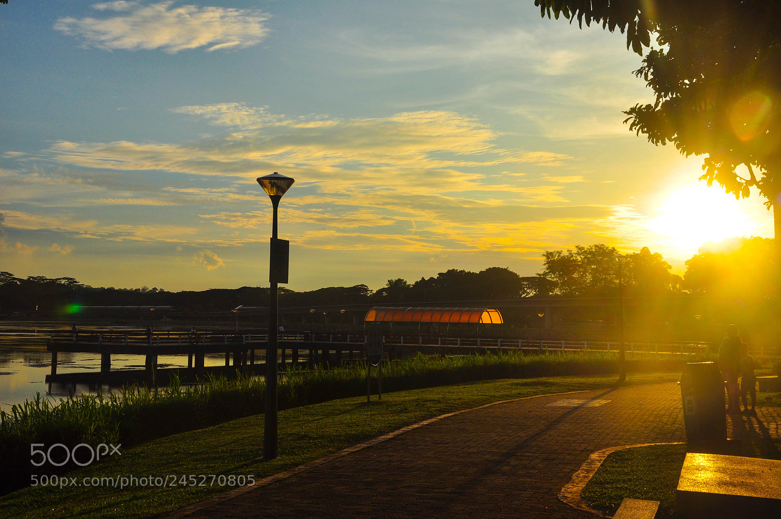Nikon D90 sample photo. Dusk at lower seletar photography