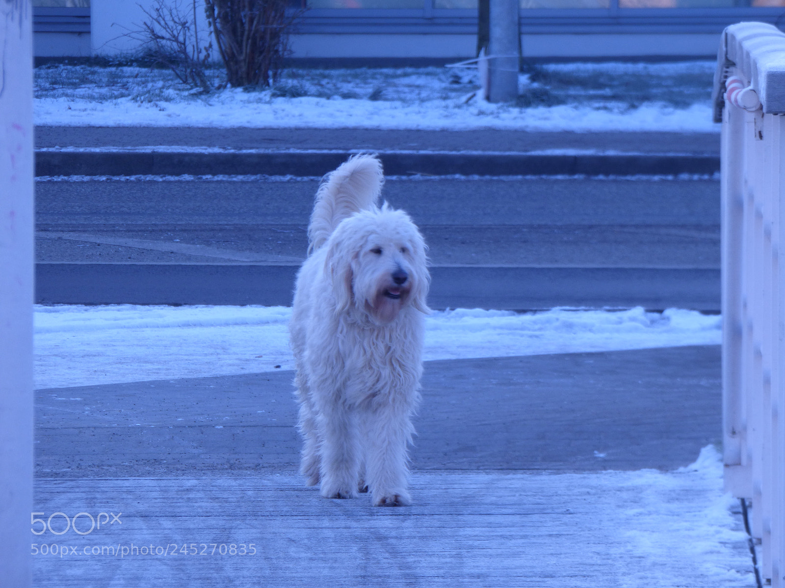 Panasonic DMC-FZ72 sample photo. Winter landschaft photography