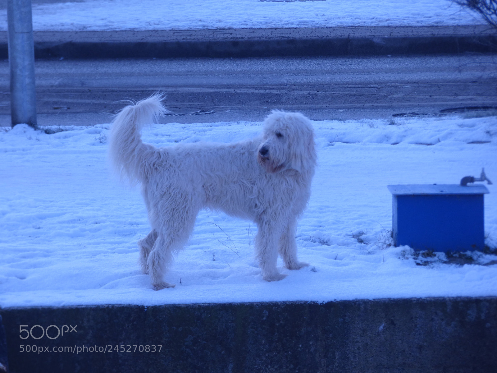 Panasonic DMC-FZ72 sample photo. Winter landschaft photography