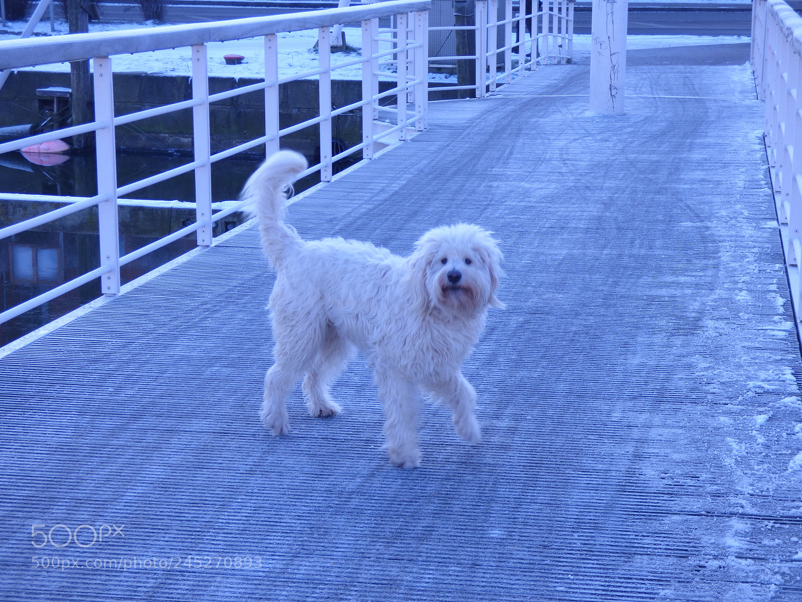 Panasonic DMC-FZ72 sample photo. Winter landschaft photography