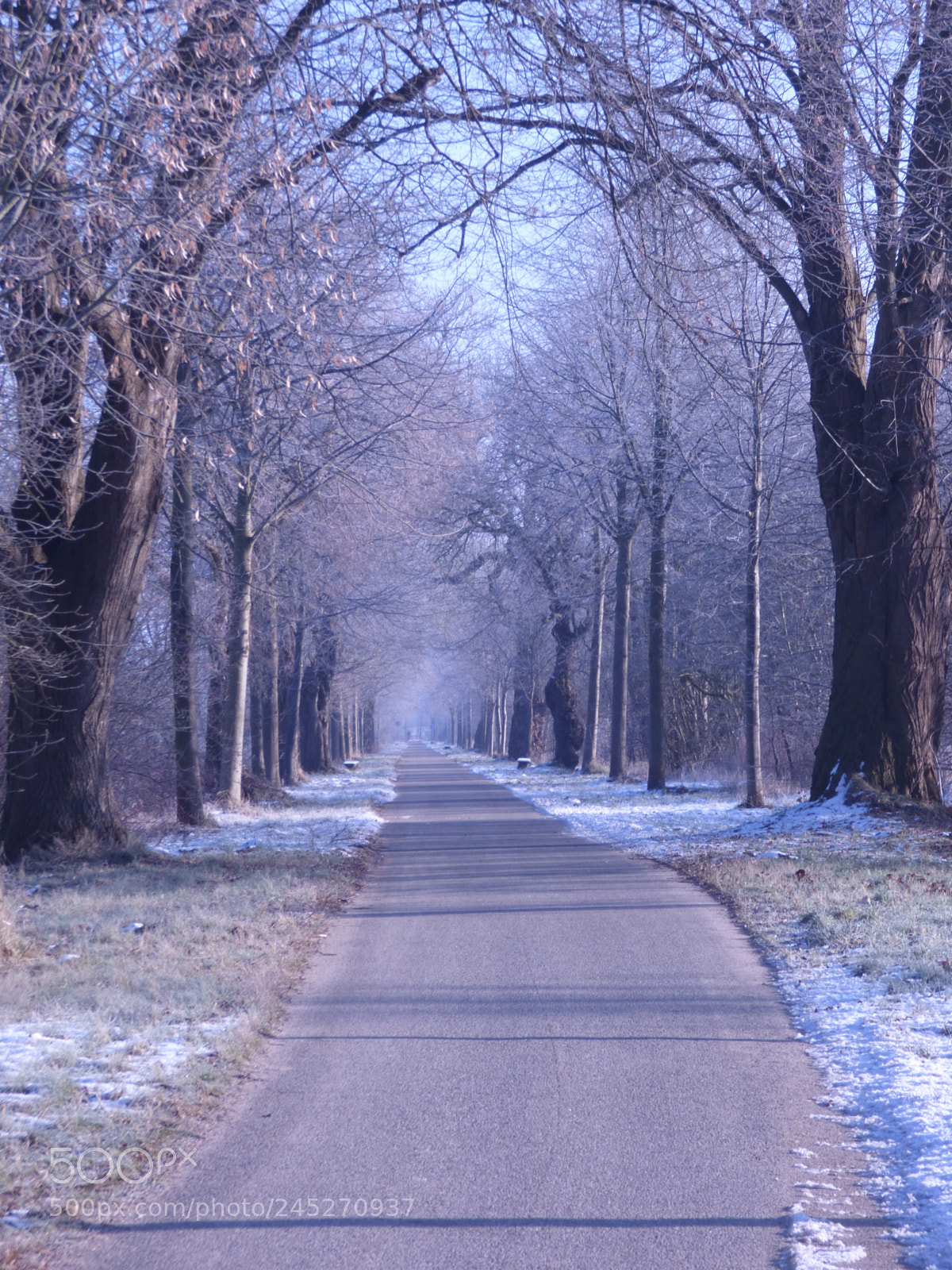 Panasonic DMC-FZ72 sample photo. Winter landschaft photography
