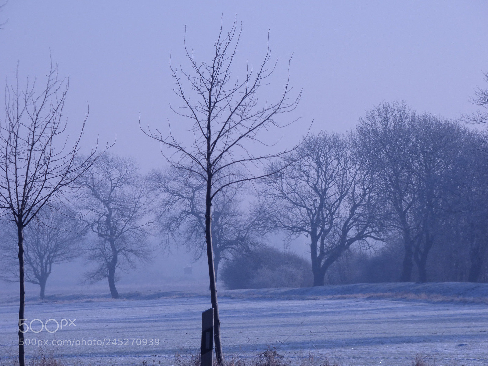 Panasonic DMC-FZ72 sample photo. Winter landschaft photography