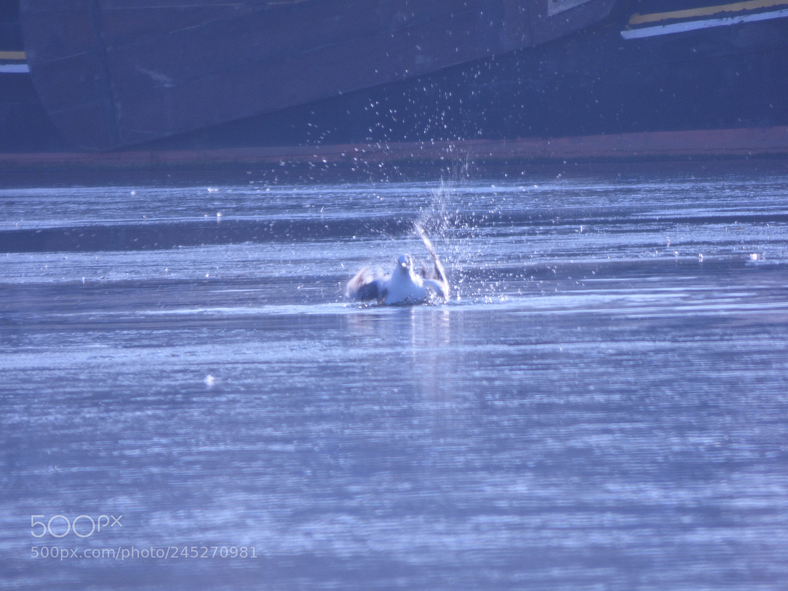 Panasonic DMC-FZ72 sample photo. Winter landschaft photography