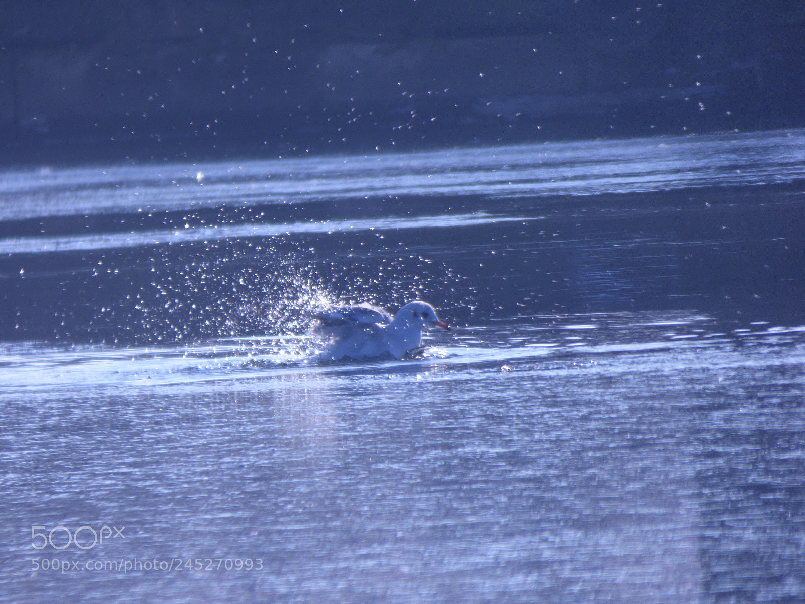 Panasonic DMC-FZ72 sample photo. Winter landschaft photography