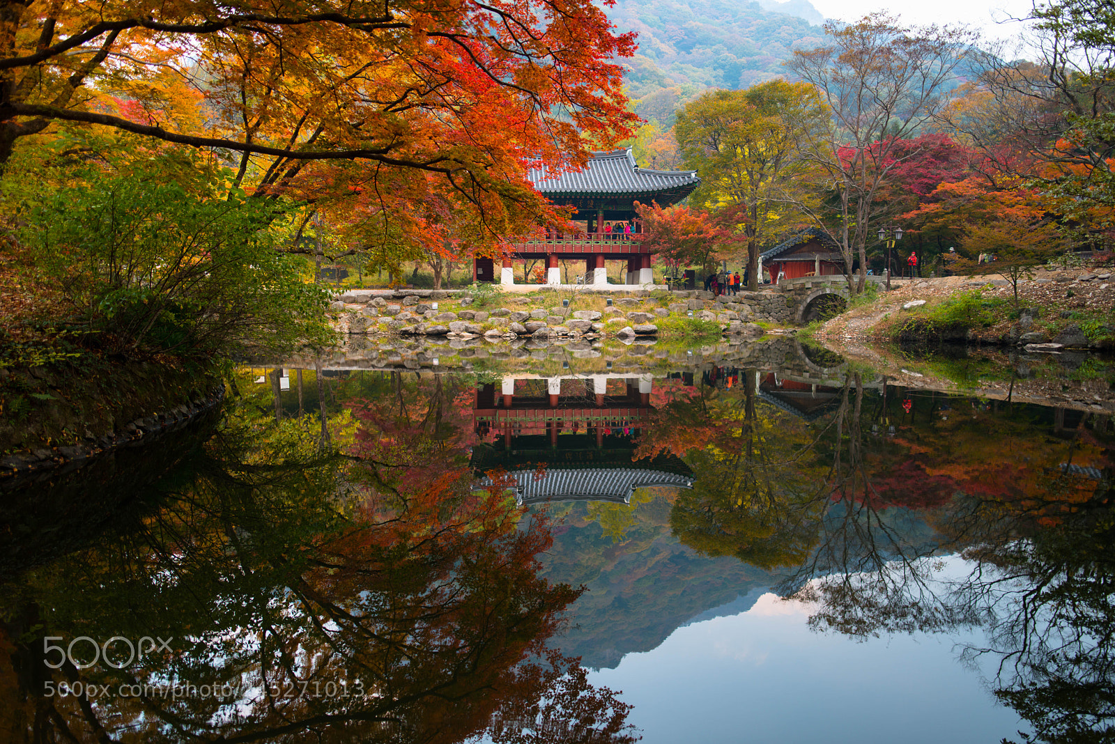 Nikon D800 sample photo. The reflection in the photography