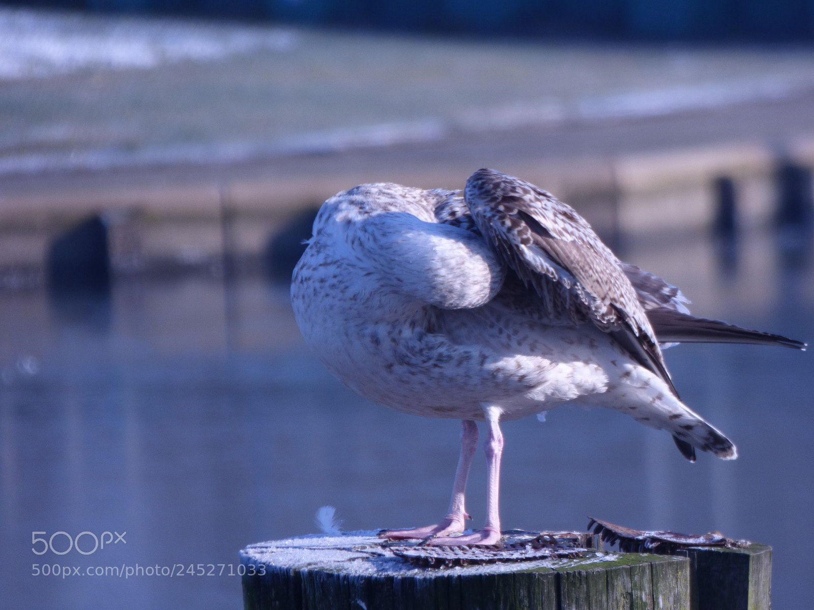 Panasonic DMC-FZ72 sample photo. Winter landschaft photography