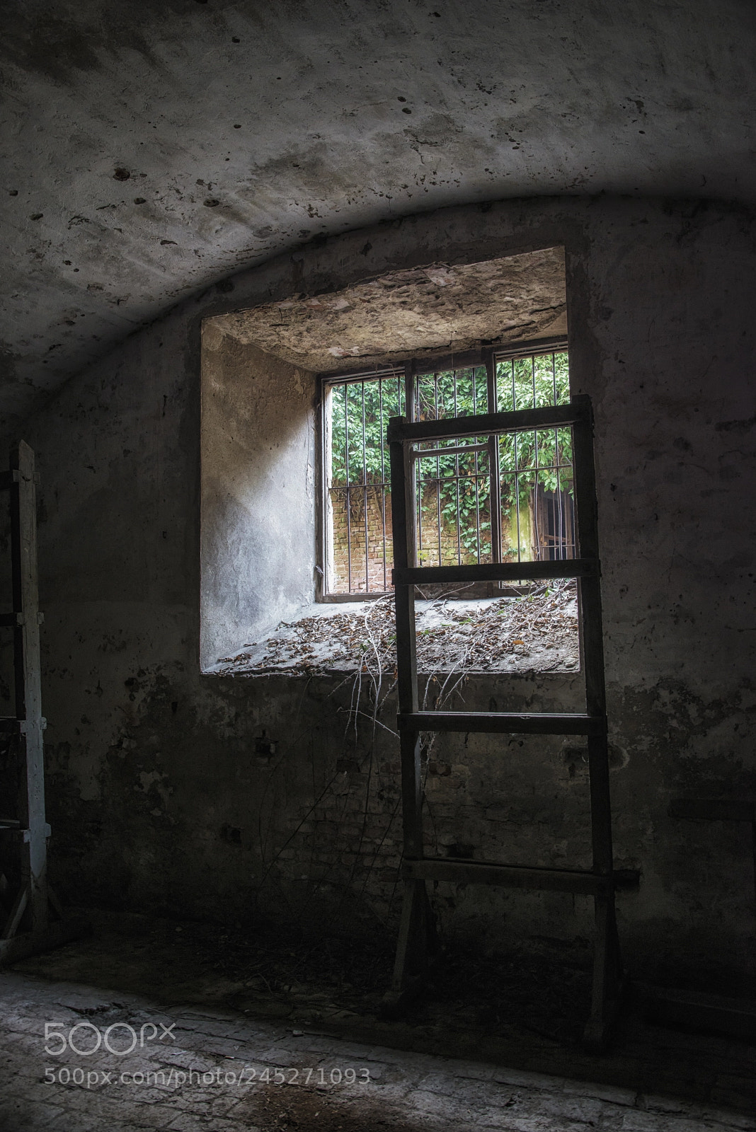 Nikon D800 sample photo. La cittadella-alessandria photography