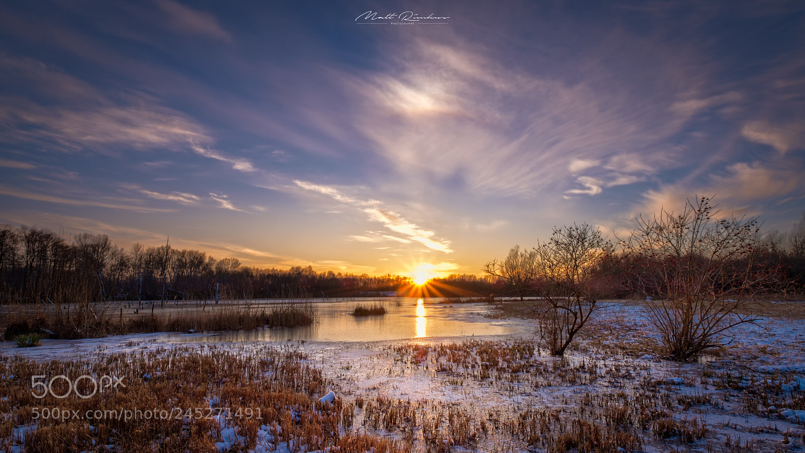 Fujifilm X-T2 sample photo. The frozen pond photography