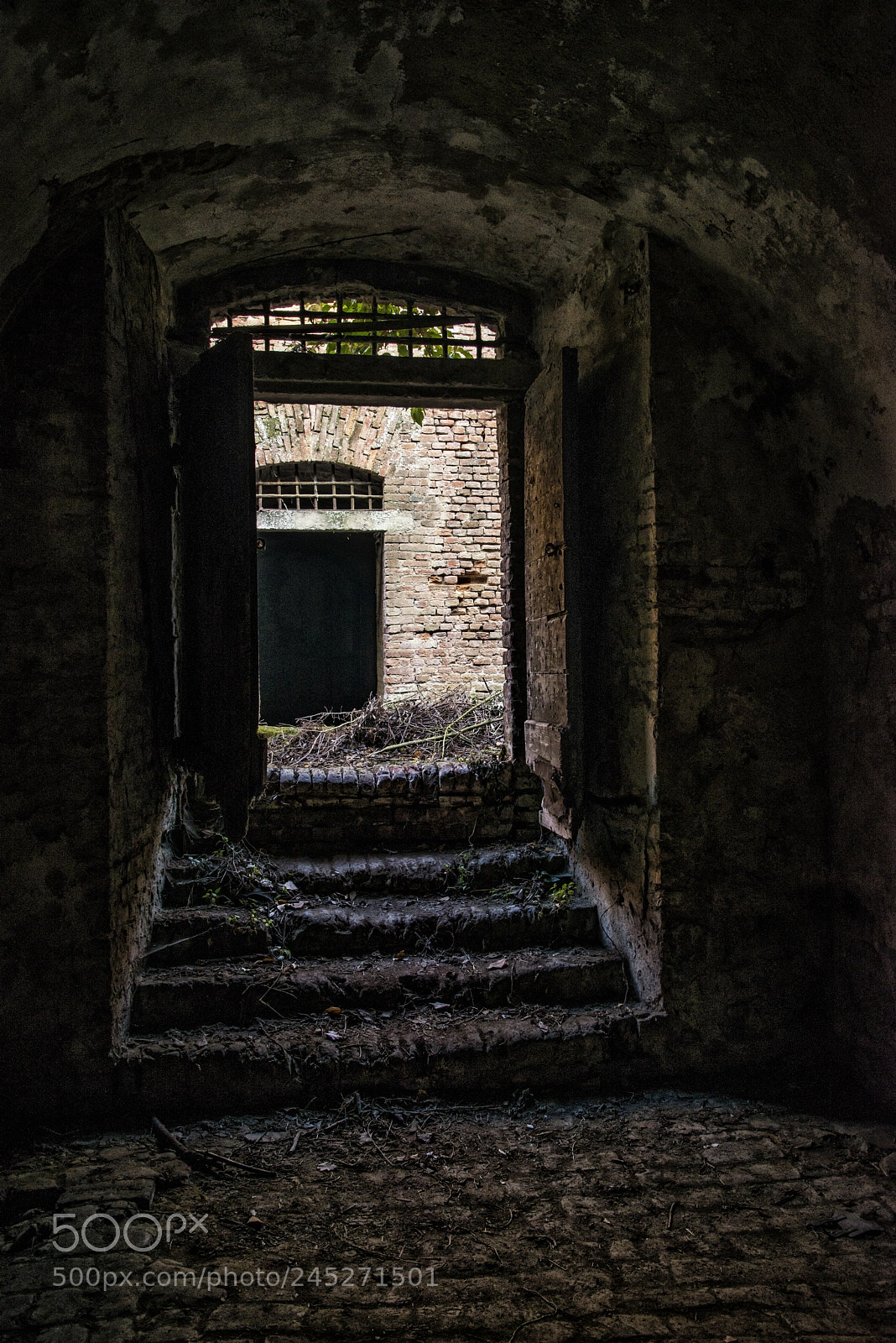 Nikon D800 sample photo. La cittadella -alessandria photography