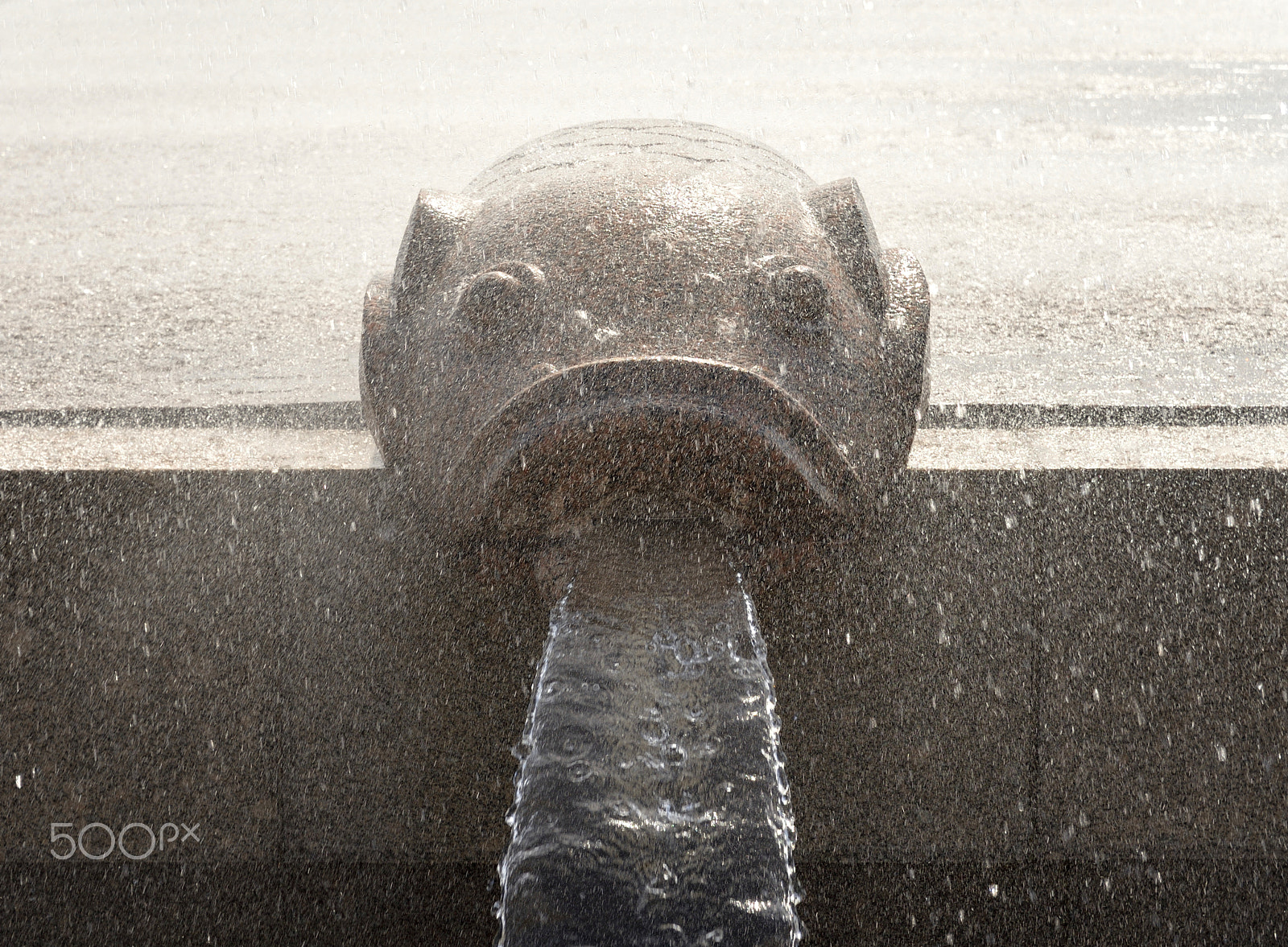 Nikon D610 sample photo. Fragment of the fountain in the form of fish. photography