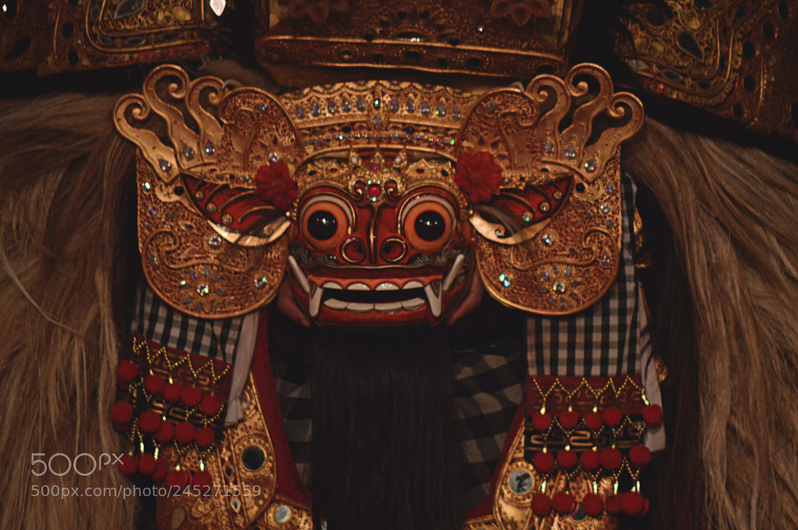 Nikon D3200 sample photo. Barong photography