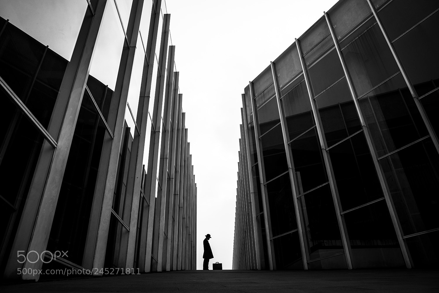 Sony a7R II sample photo. Untitled photography