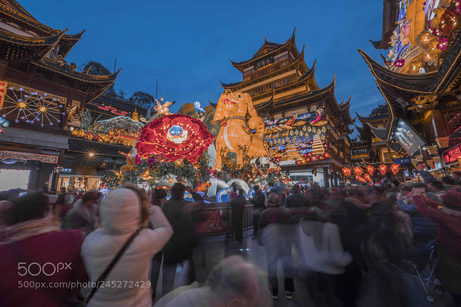 Nikon D850 sample photo. Chinese new year of photography