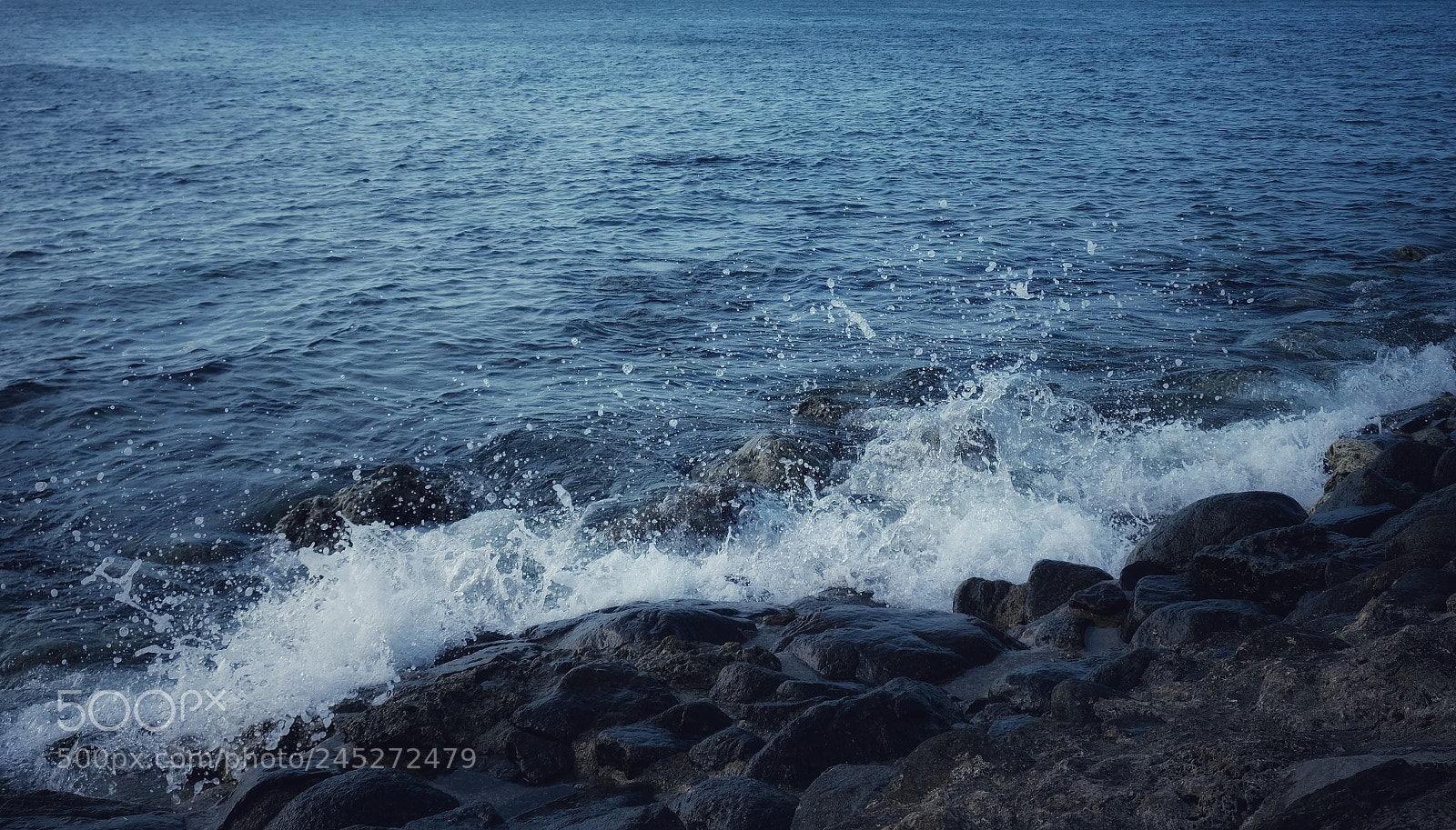 Fujifilm X-T20 sample photo. 岸 photography