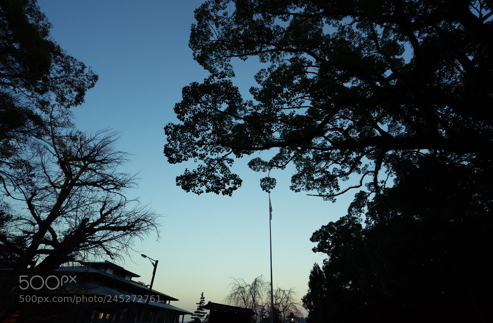 Sony a7 II sample photo. Morning glory photography