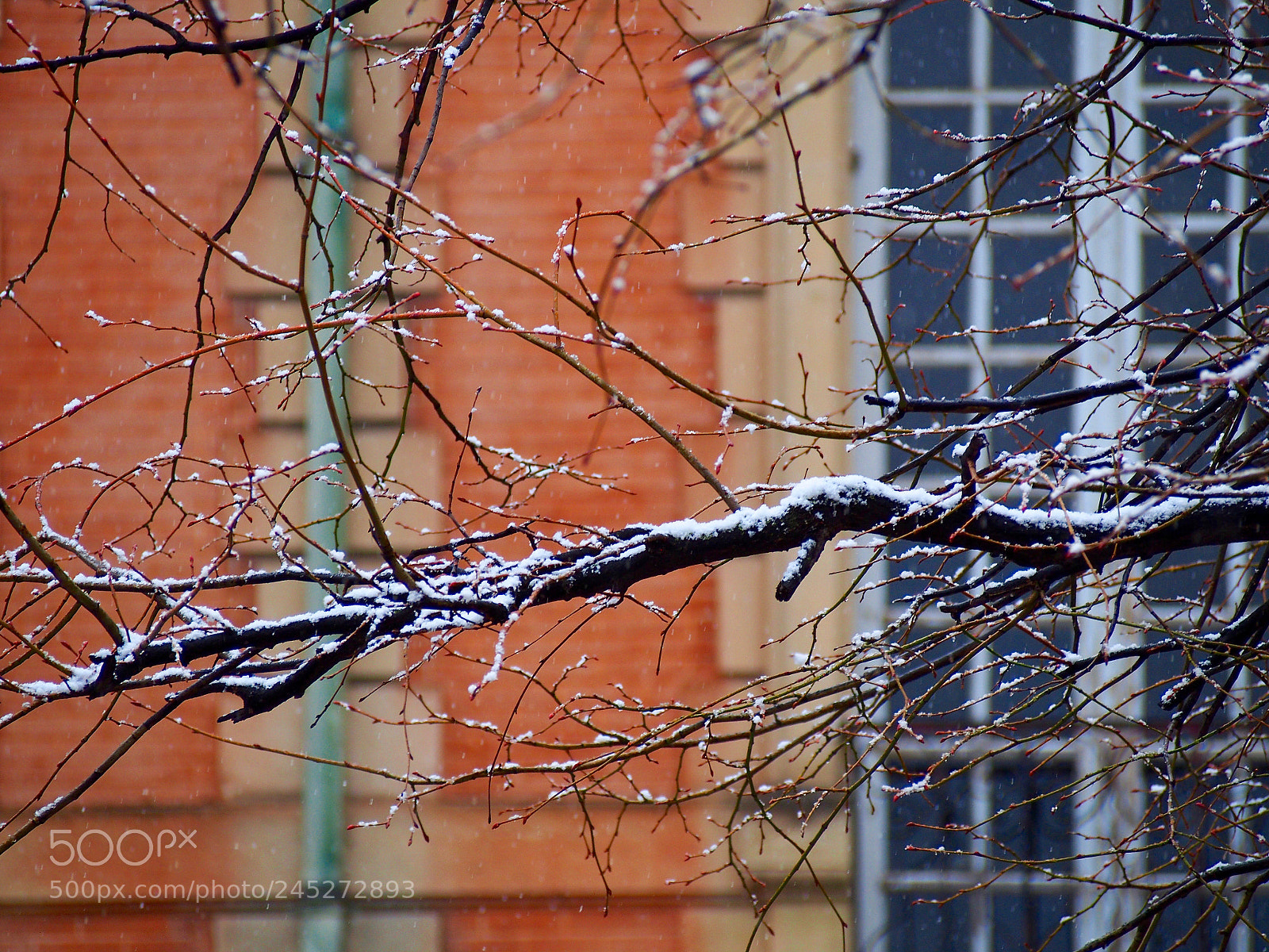 Olympus PEN E-PL6 sample photo. Reaching out photography