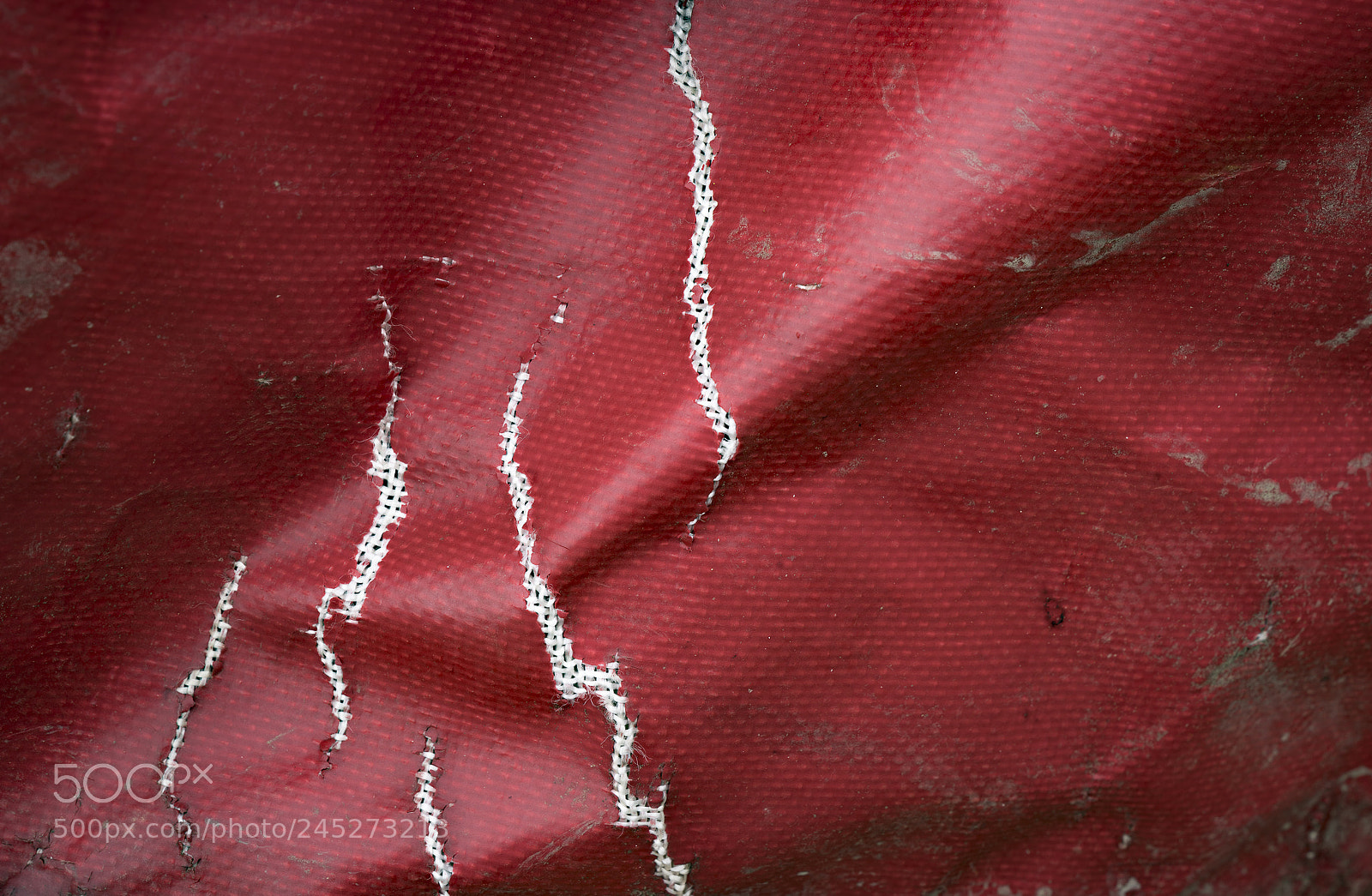 Sony a7R III sample photo. Red slits photography