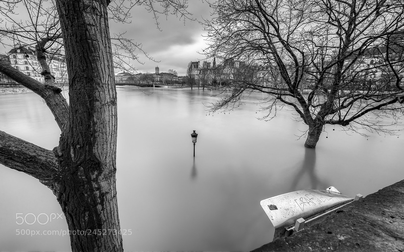 Nikon D700 sample photo. Paris flooded in feb 2018 photography