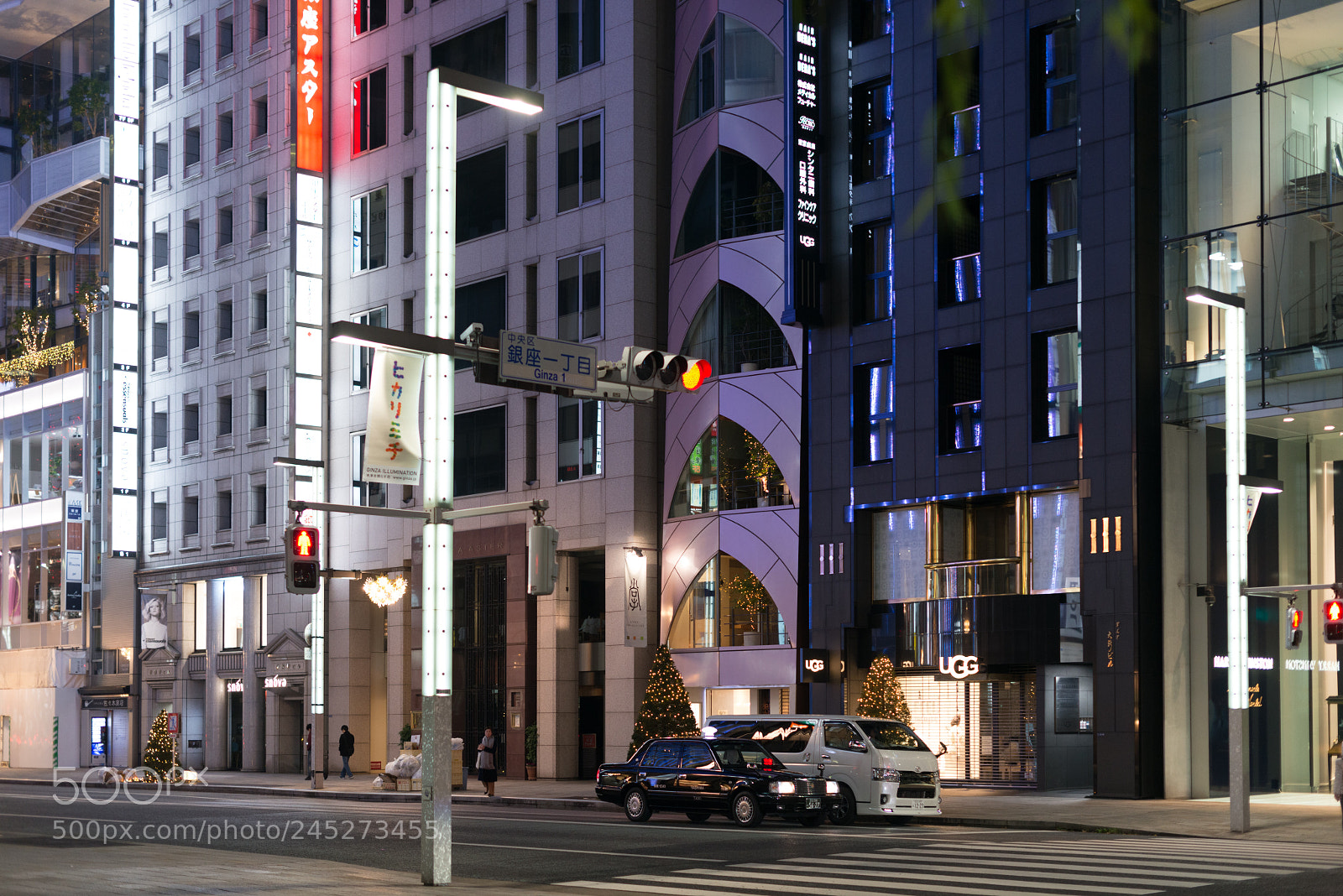 Nikon D800 sample photo. Tokyo autumn photography