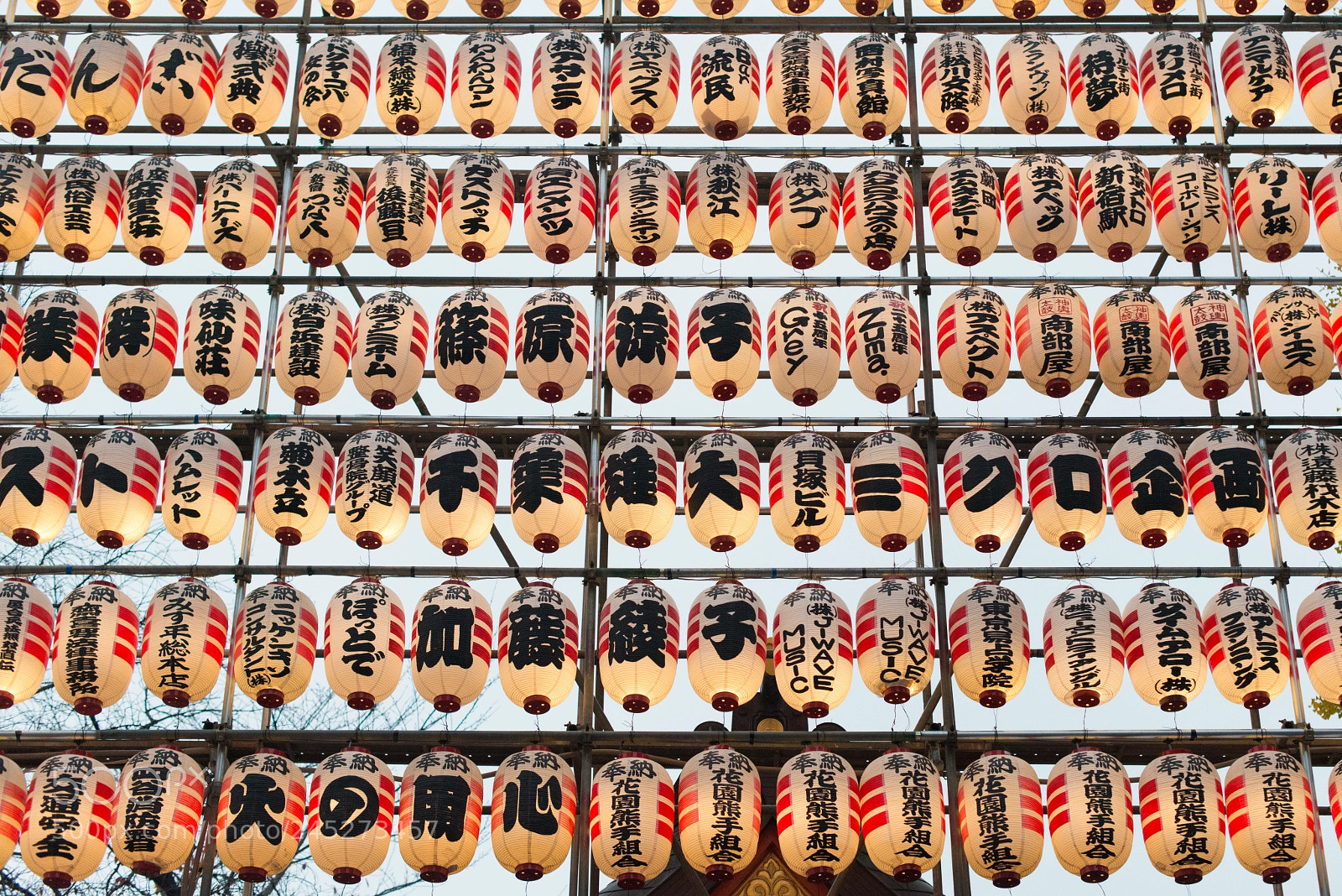 Nikon D800 sample photo. Tokyo autumn photography