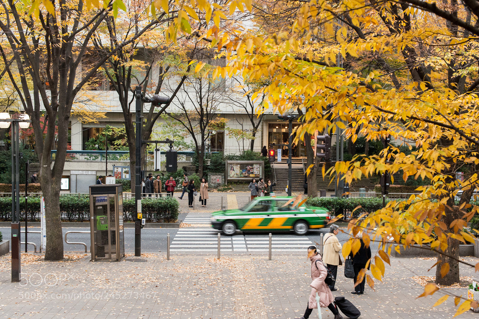Nikon D800 sample photo. Tokyo autumn photography
