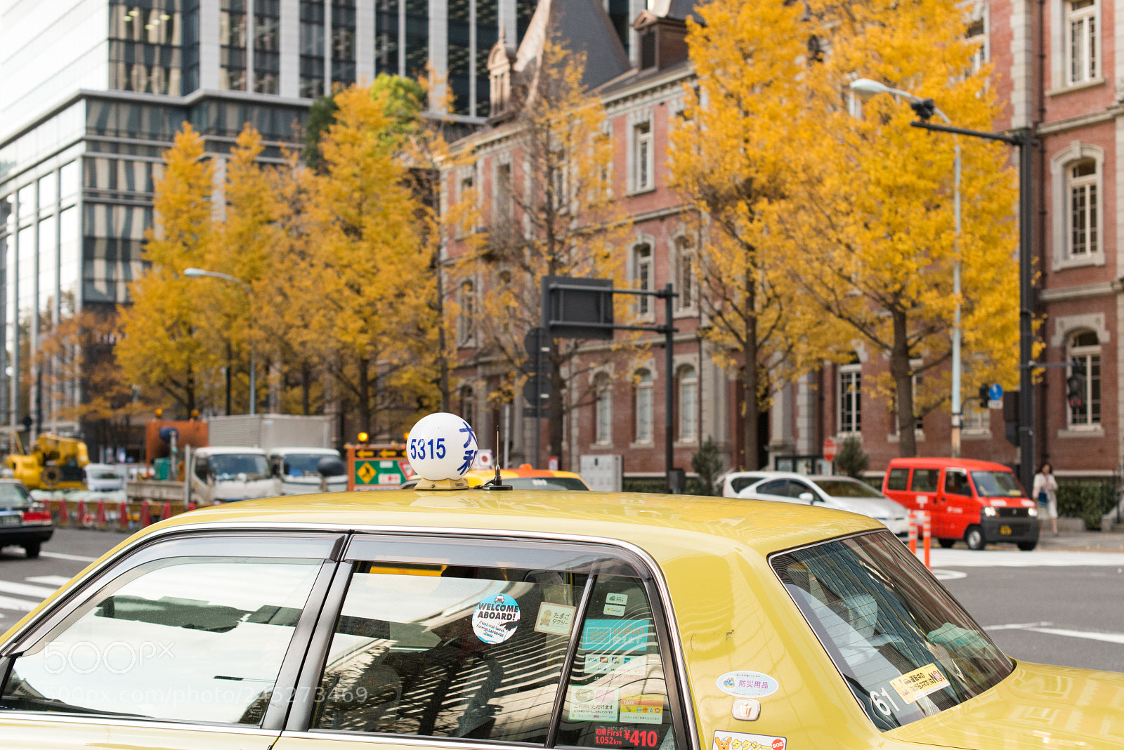 Nikon D800 sample photo. Tokyo autumn photography