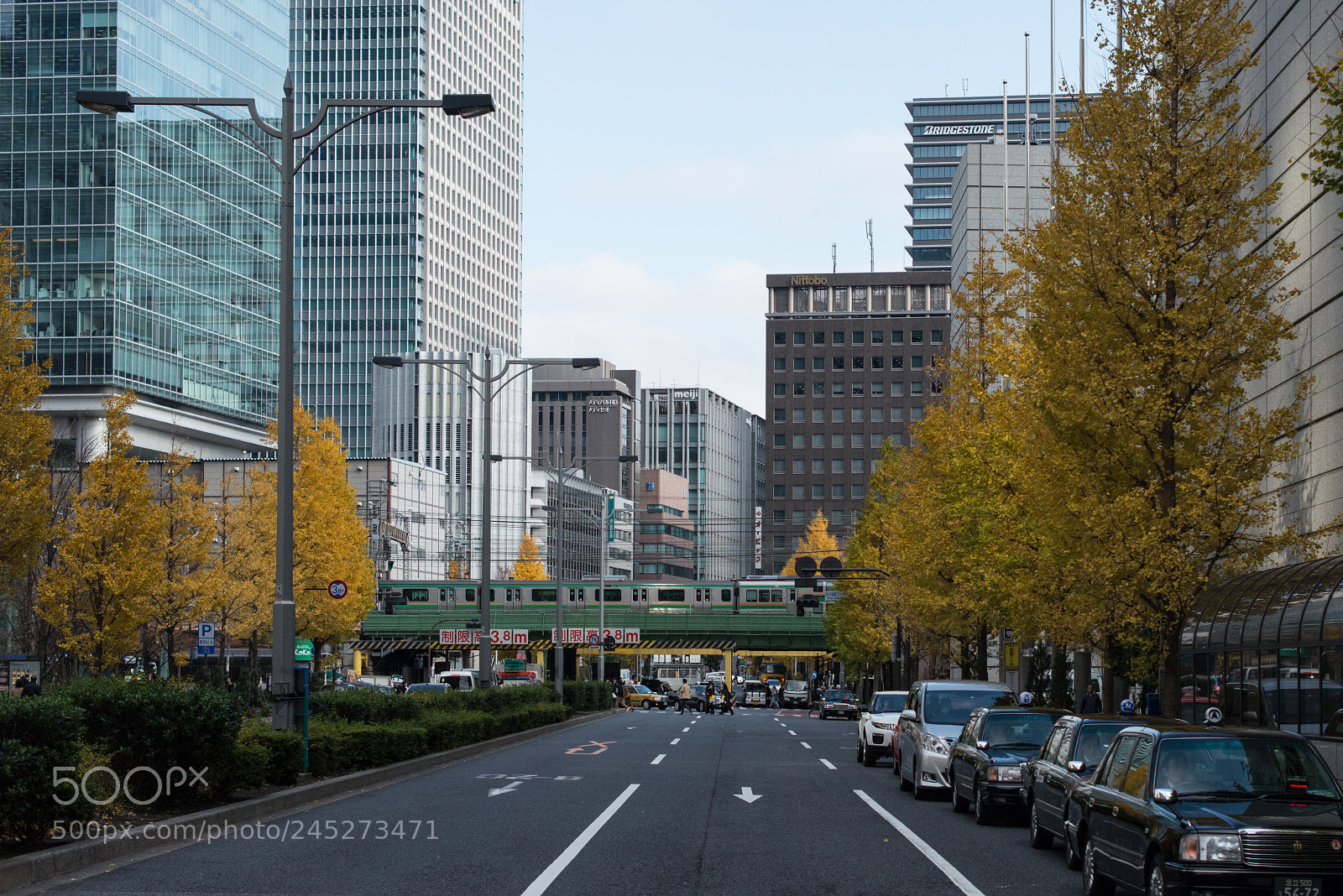 Nikon D800 sample photo. Tokyo autumn photography