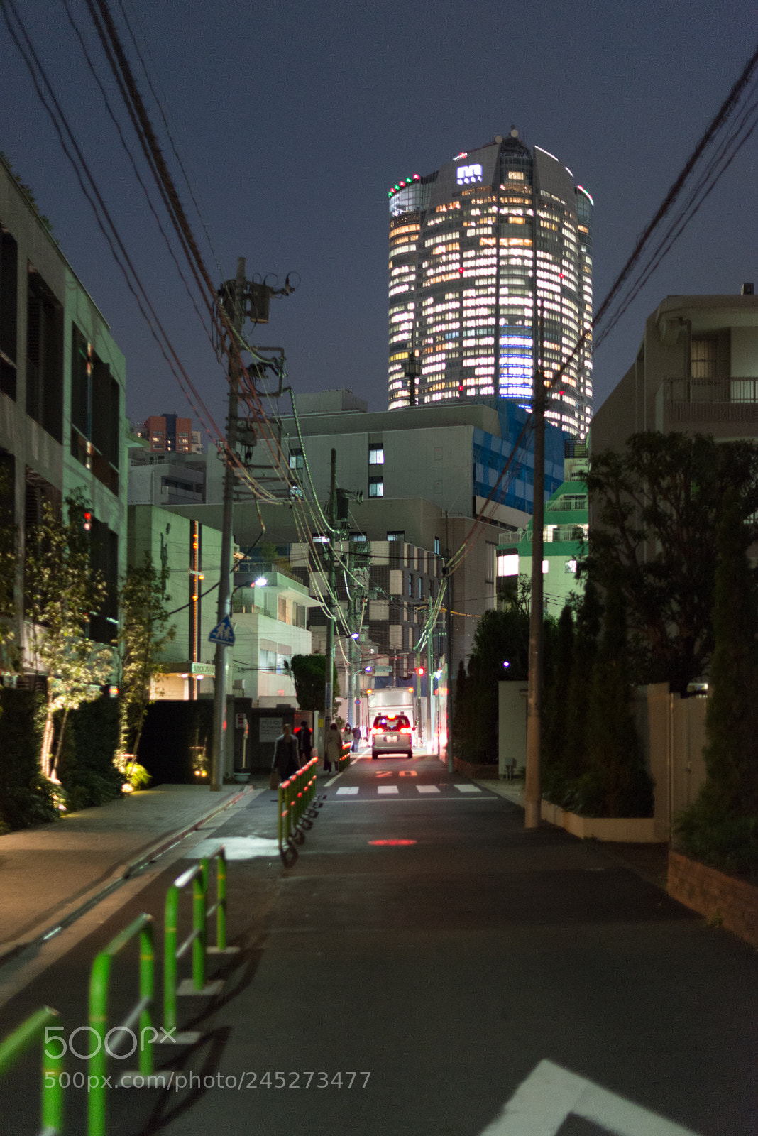 Nikon D800 sample photo. Tokyo autumn photography