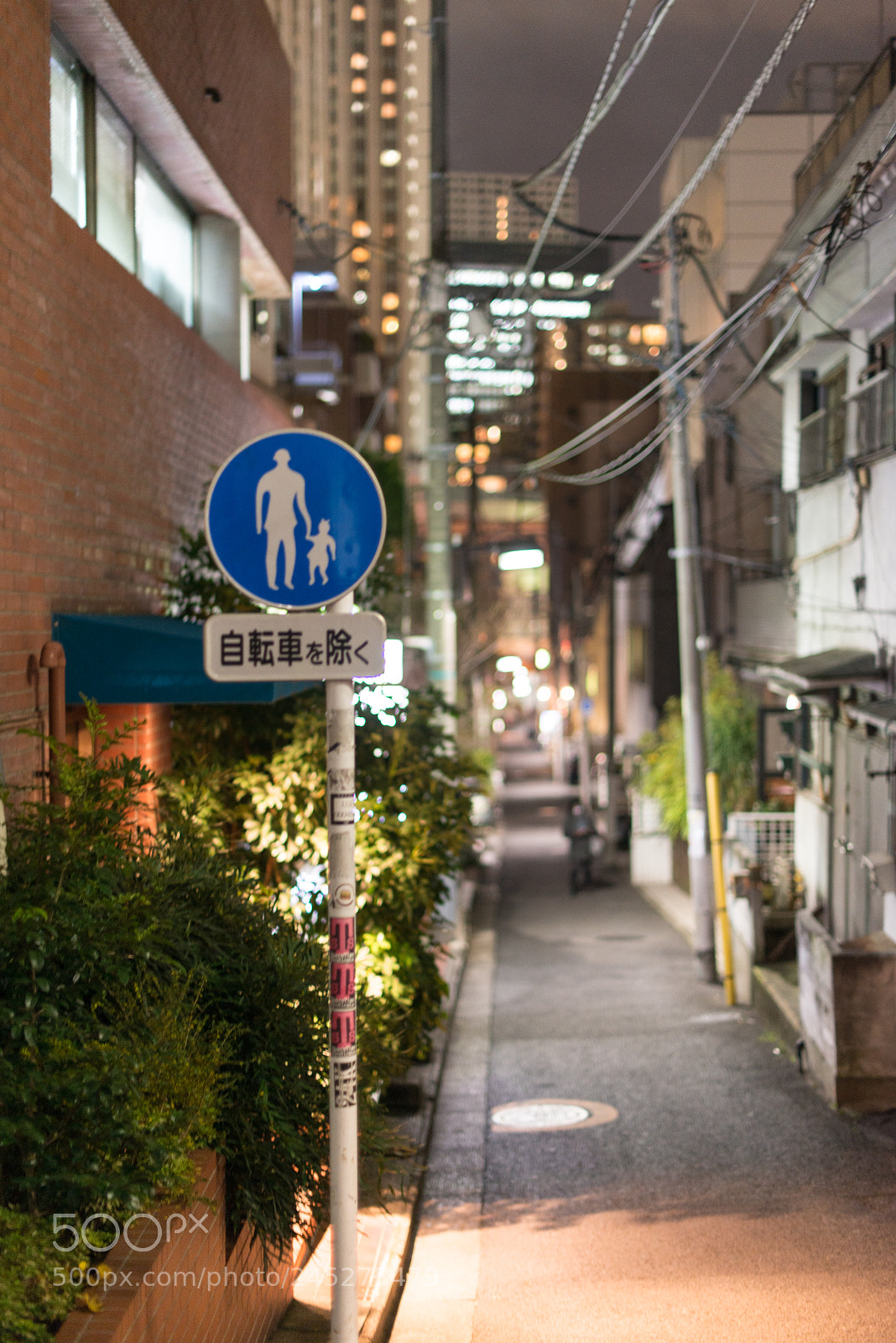 Nikon D800 sample photo. Tokyo autumn photography