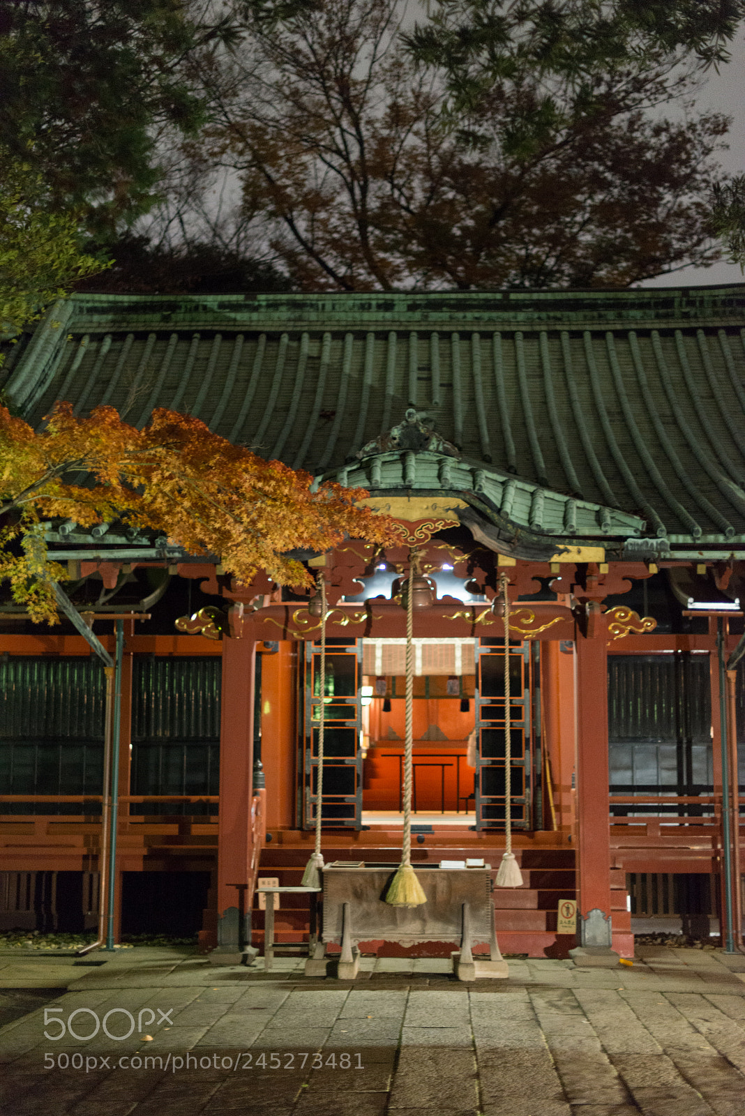 Nikon D800 sample photo. Tokyo autumn photography