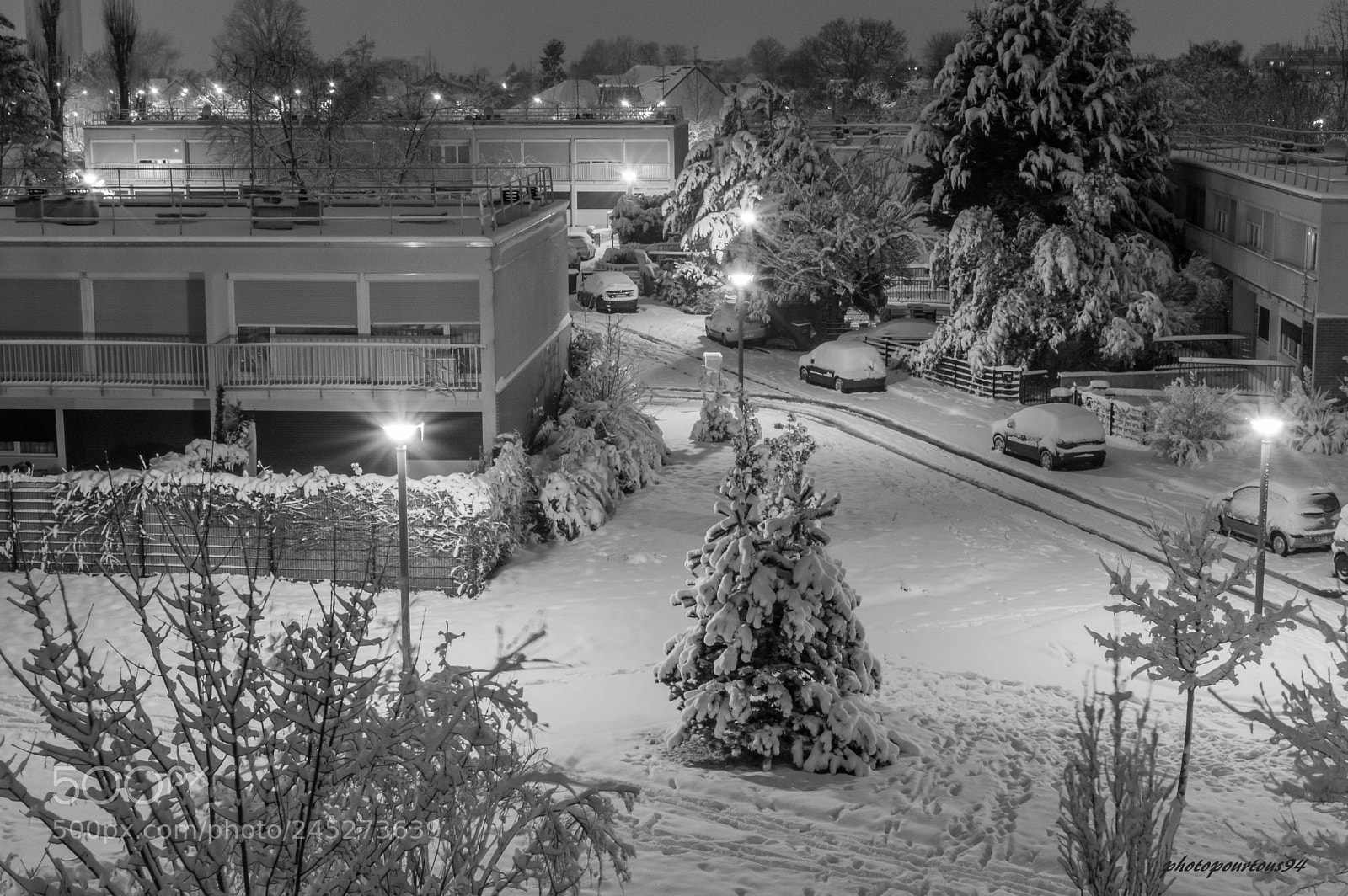 Nikon D3200 sample photo. Neige photography