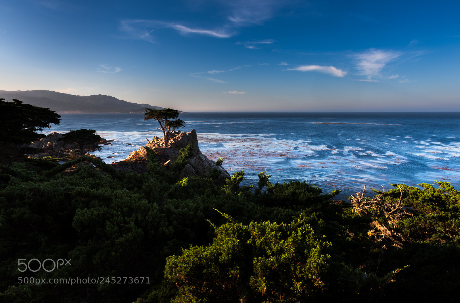 Nikon D810 sample photo. Lone cypress photography