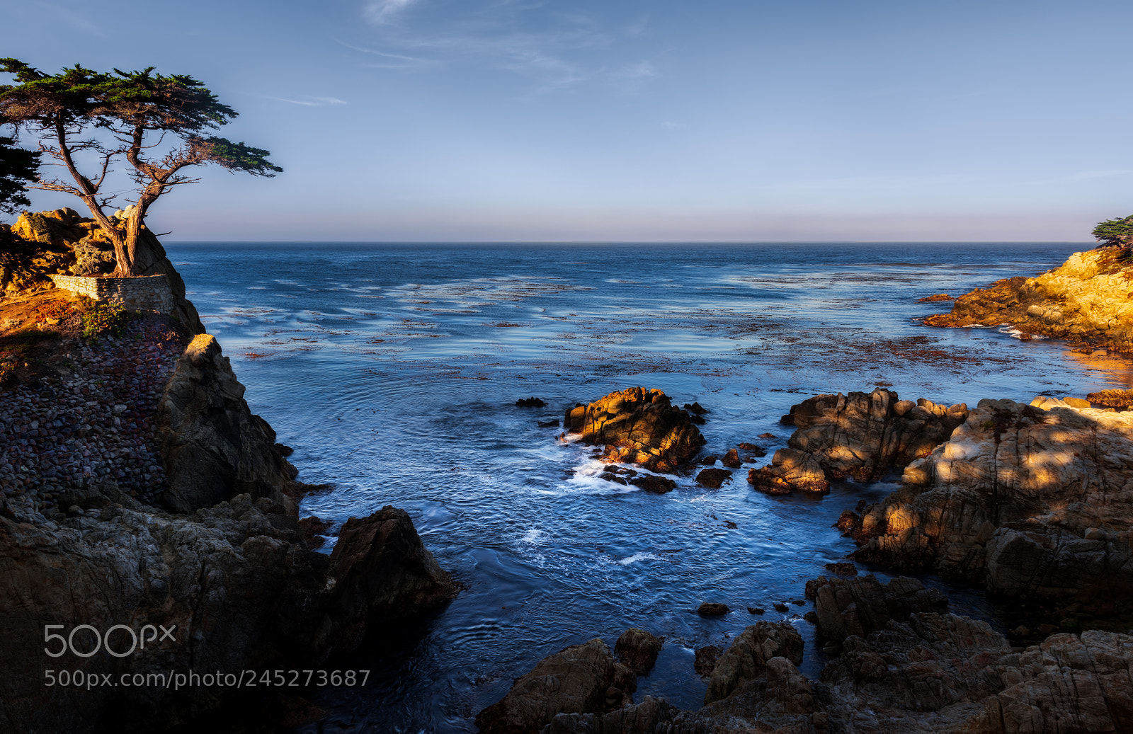 Nikon D810 sample photo. Lone cypress photography