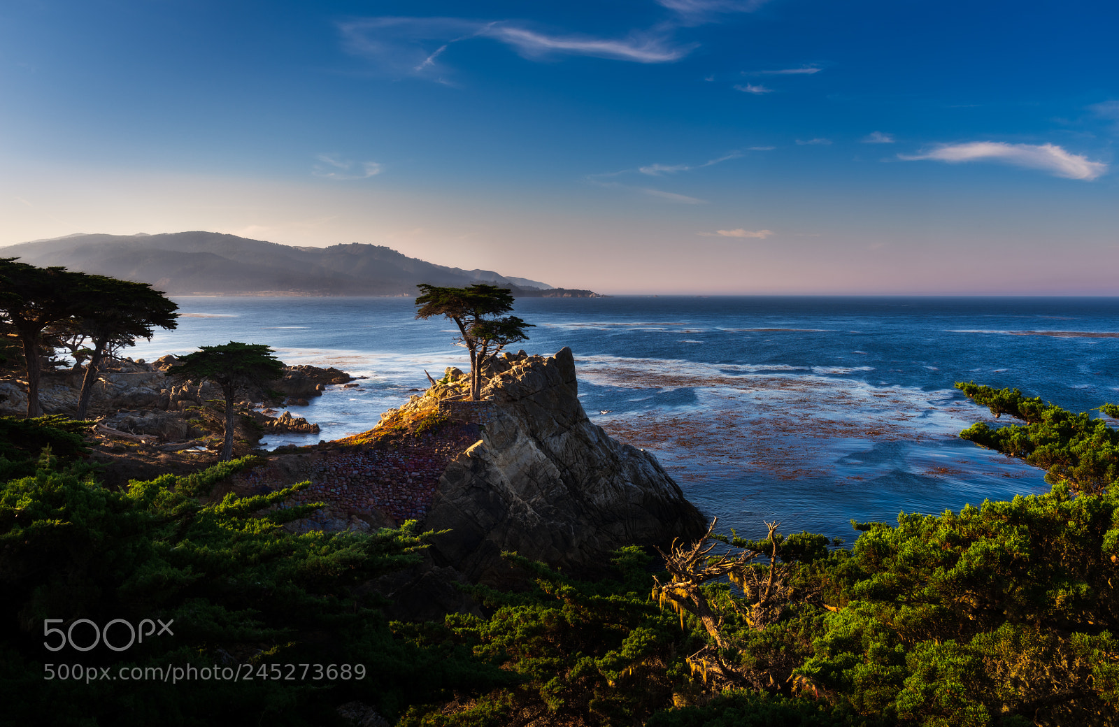 Nikon D810 sample photo. Lone cypress photography