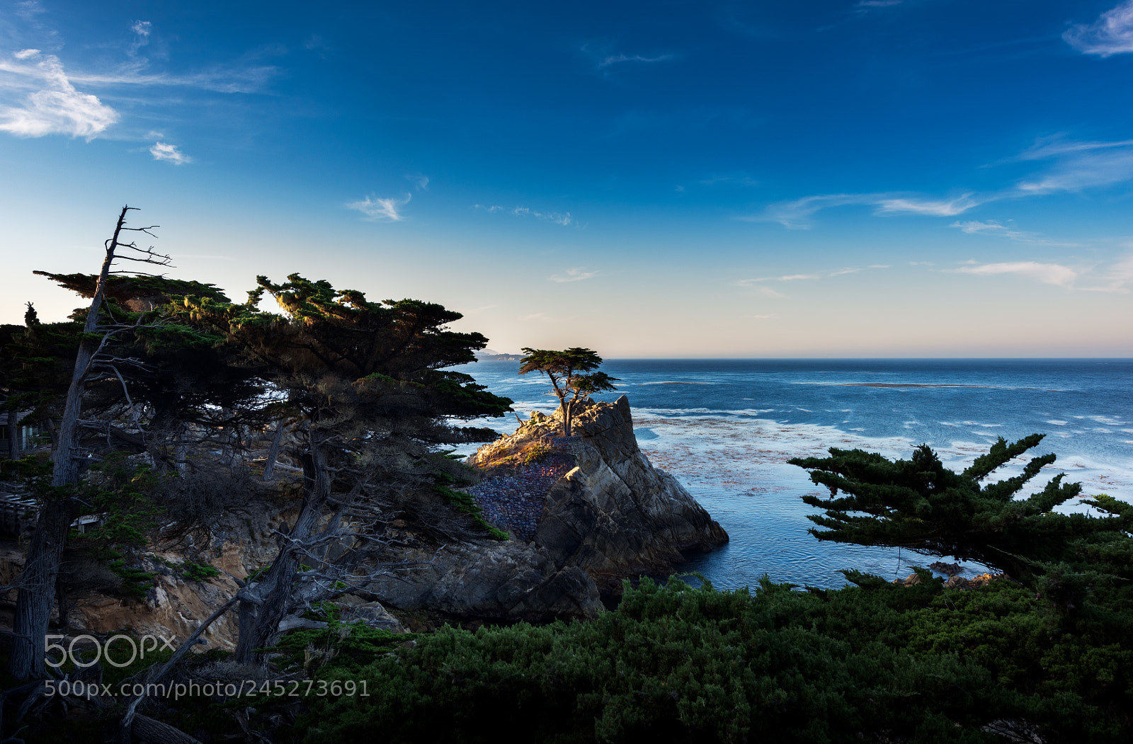 Nikon D810 sample photo. Lone cypress photography