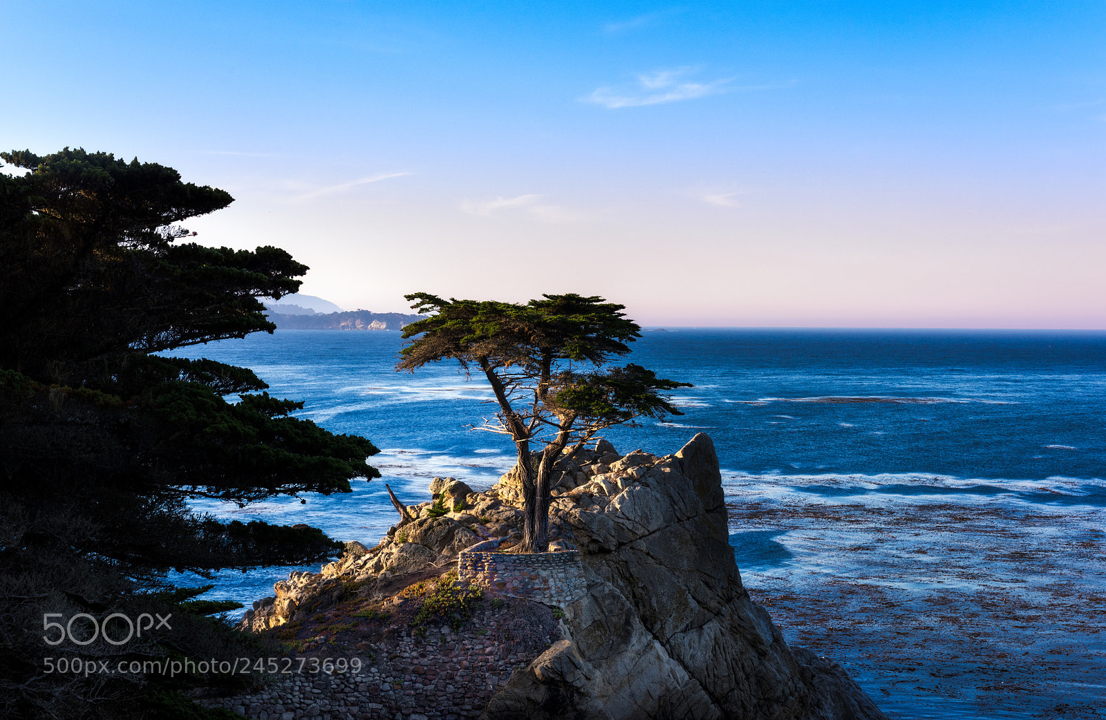 Nikon D810 sample photo. Lone cypress photography