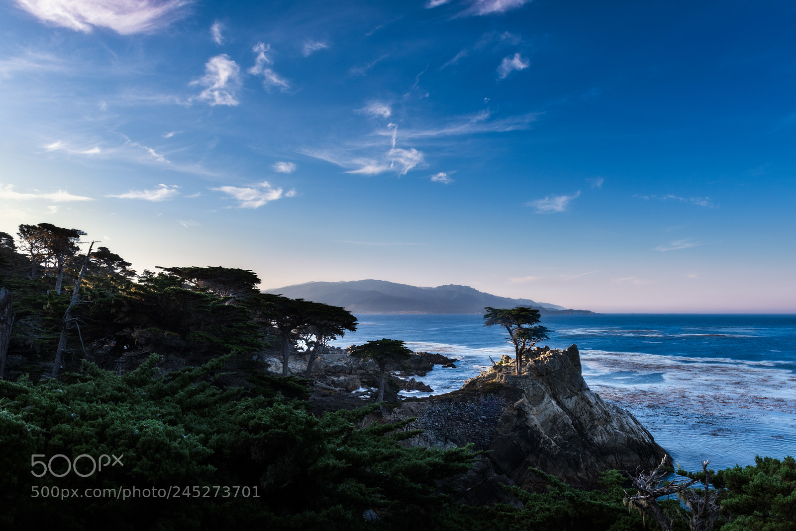 Nikon D810 sample photo. Lone cypress photography