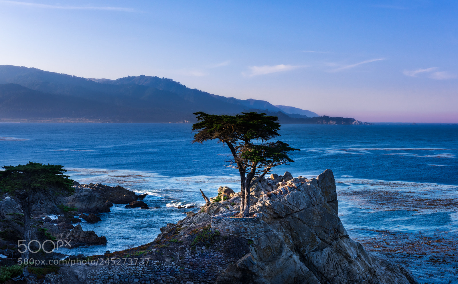 Nikon D810 sample photo. Lone cypress photography