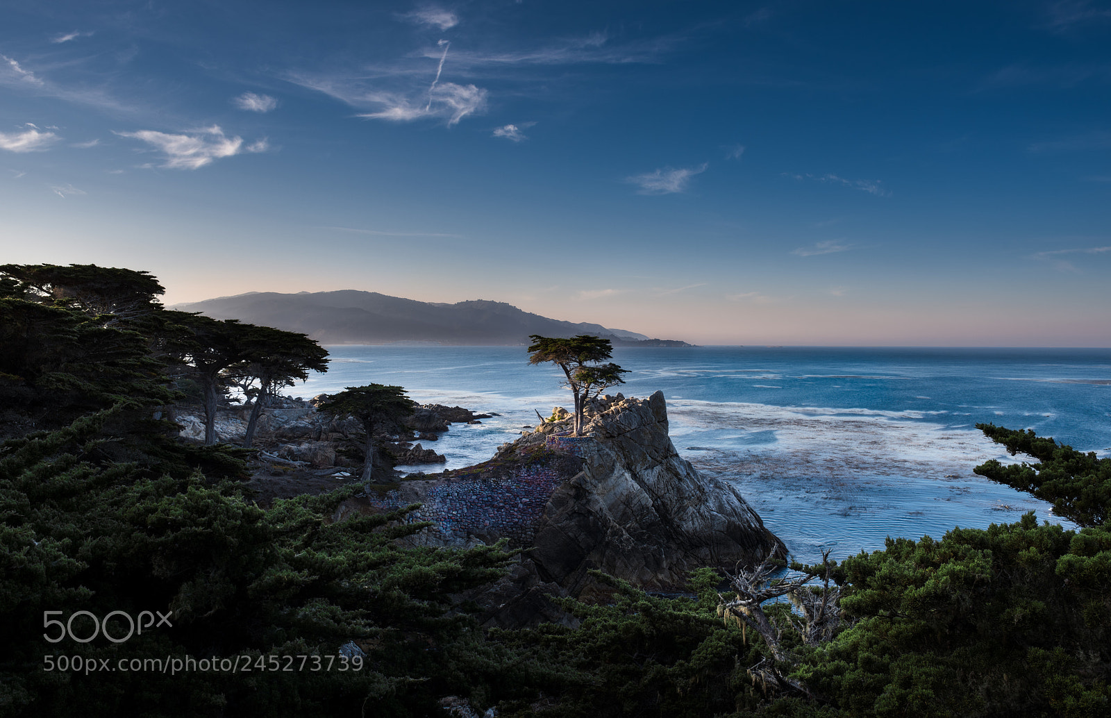 Nikon D810 sample photo. Lone cypress photography