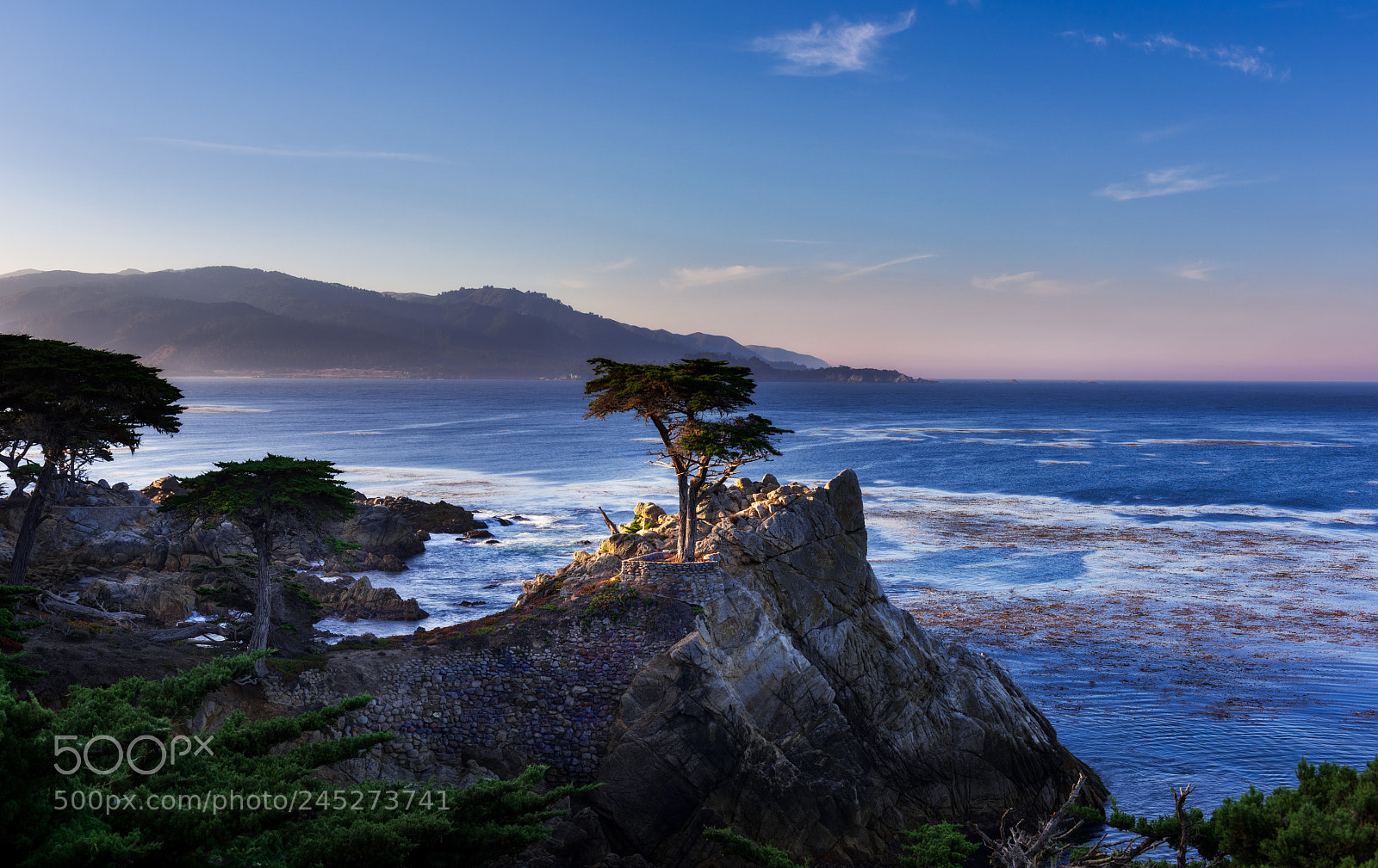 Nikon D810 sample photo. Lonecypressmontereyssw photography