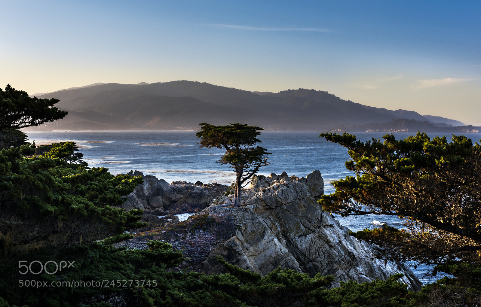Nikon D810 sample photo. Lonecypressmontereyssw photography