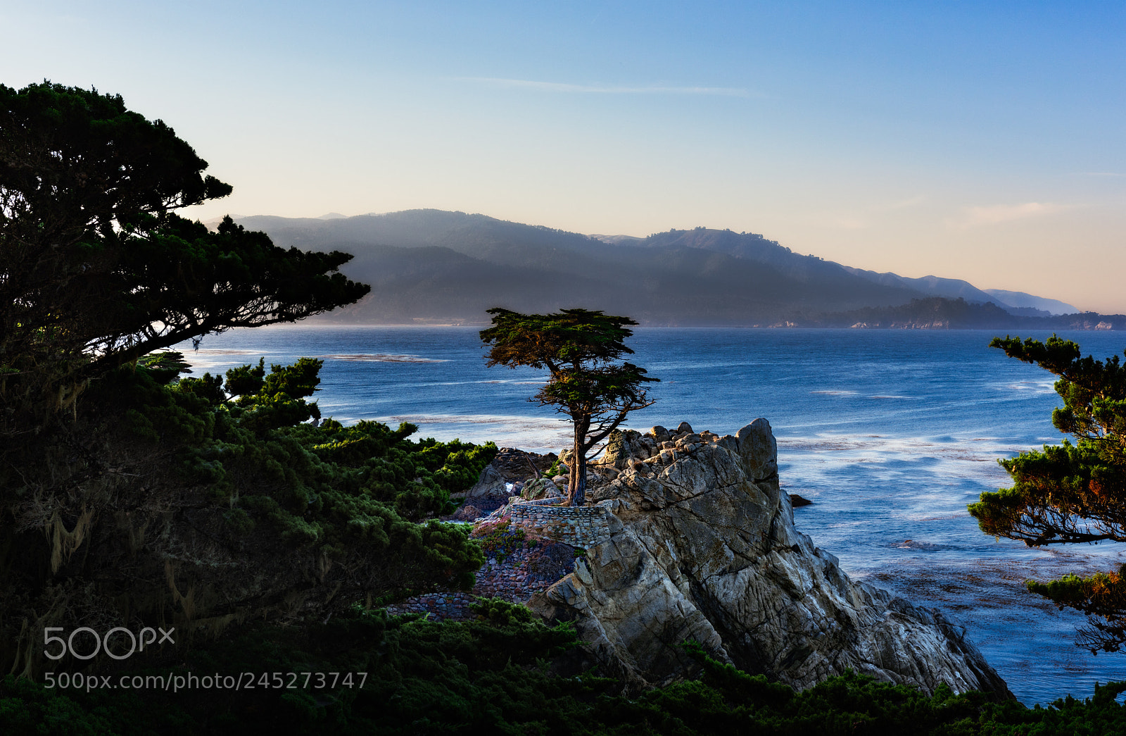 Nikon D810 sample photo. Lone cypress photography