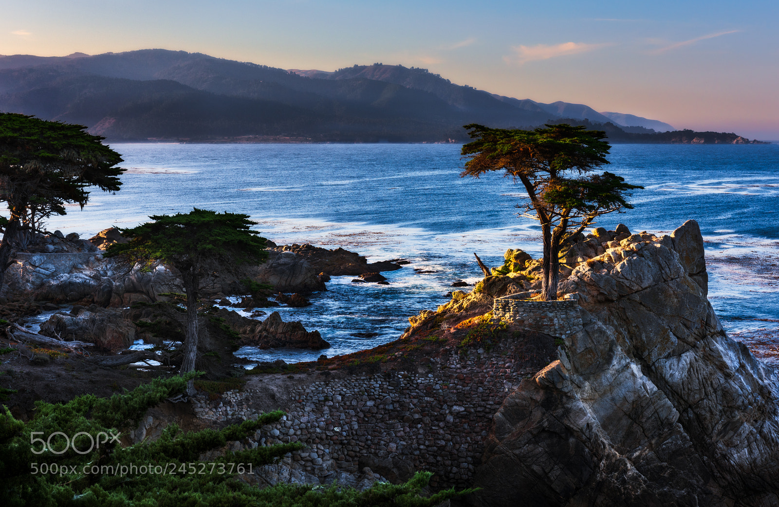 Nikon D810 sample photo. Lone cypress photography